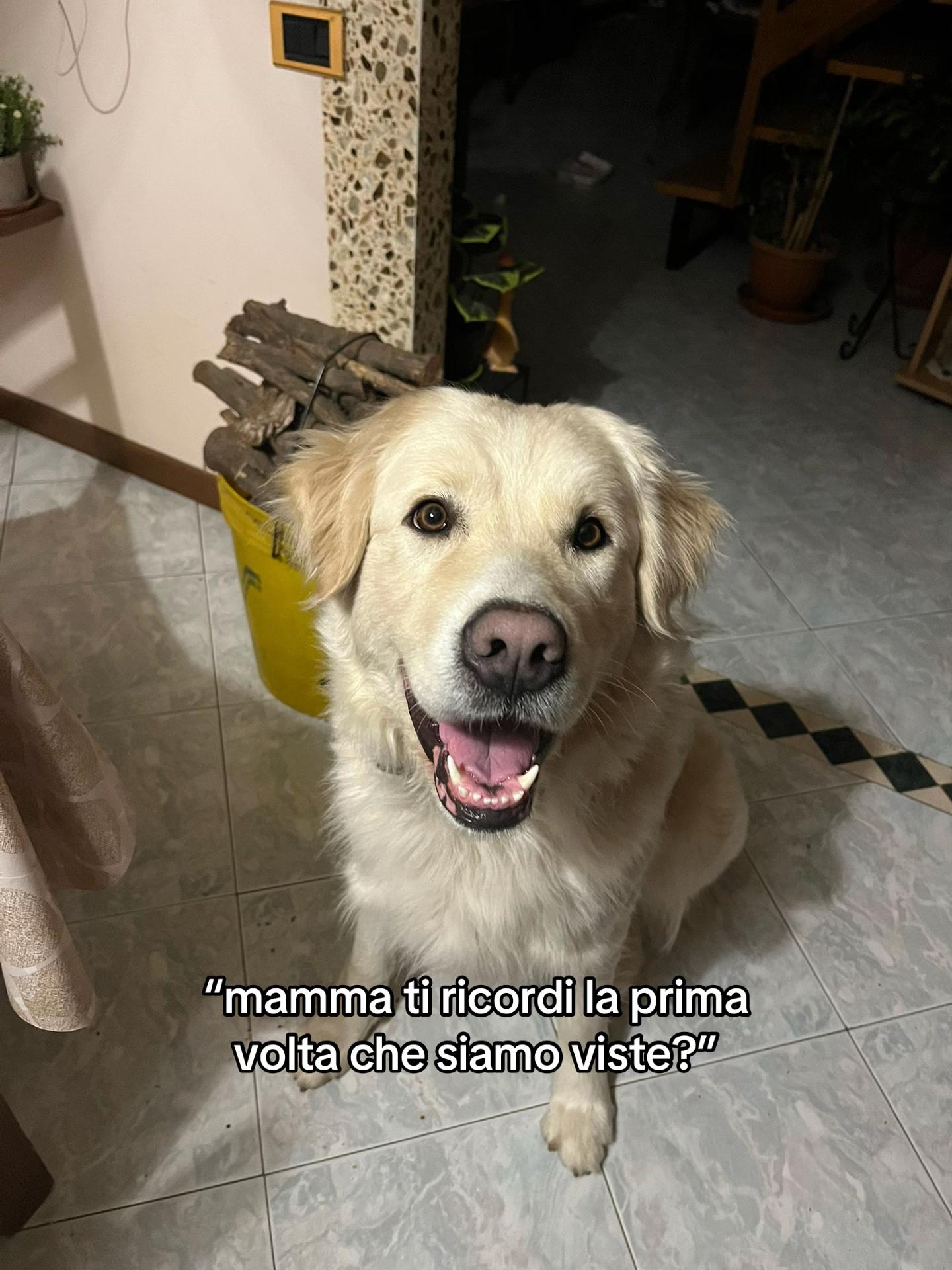 @non mi conosci