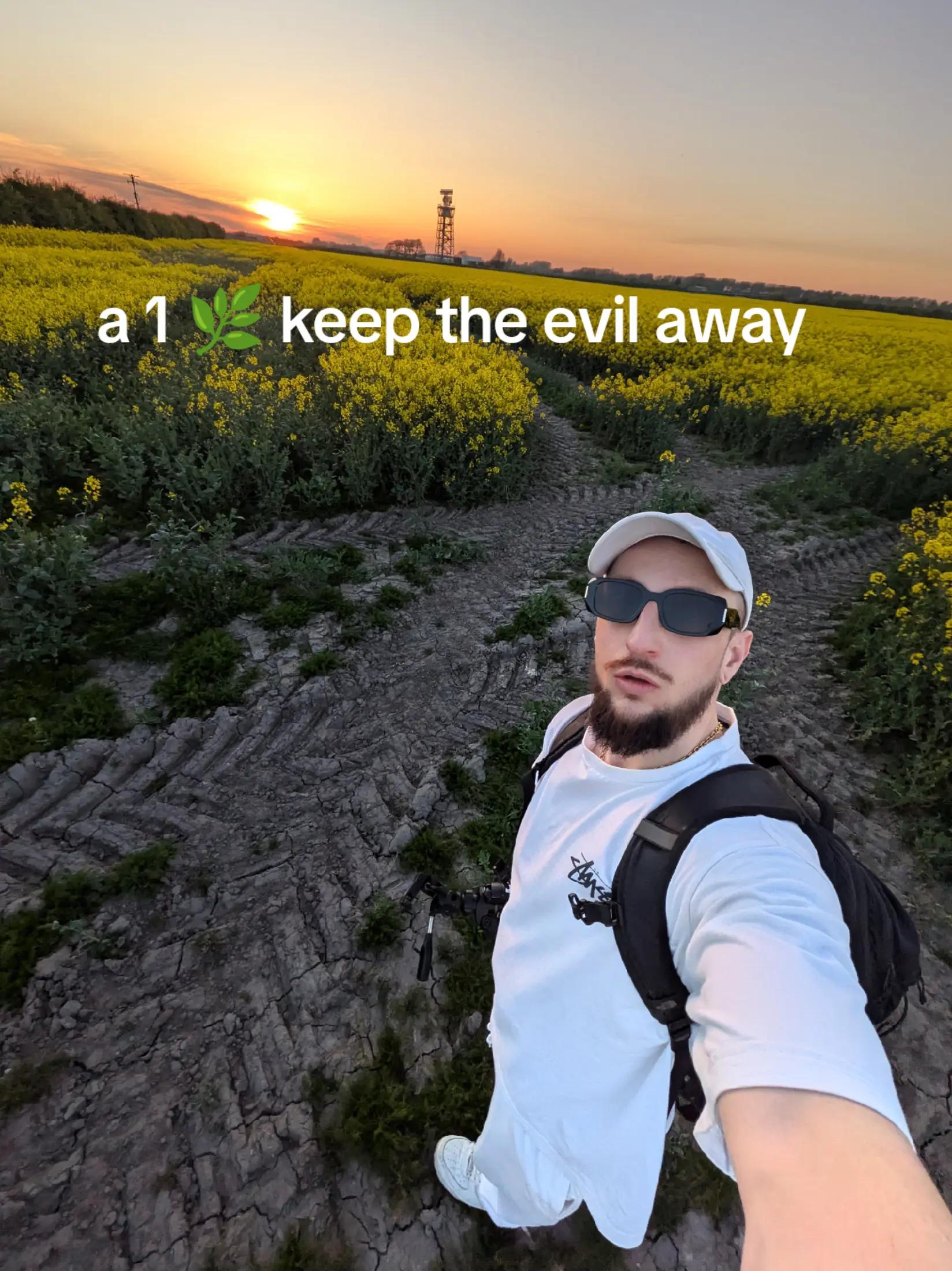 @Valeiium