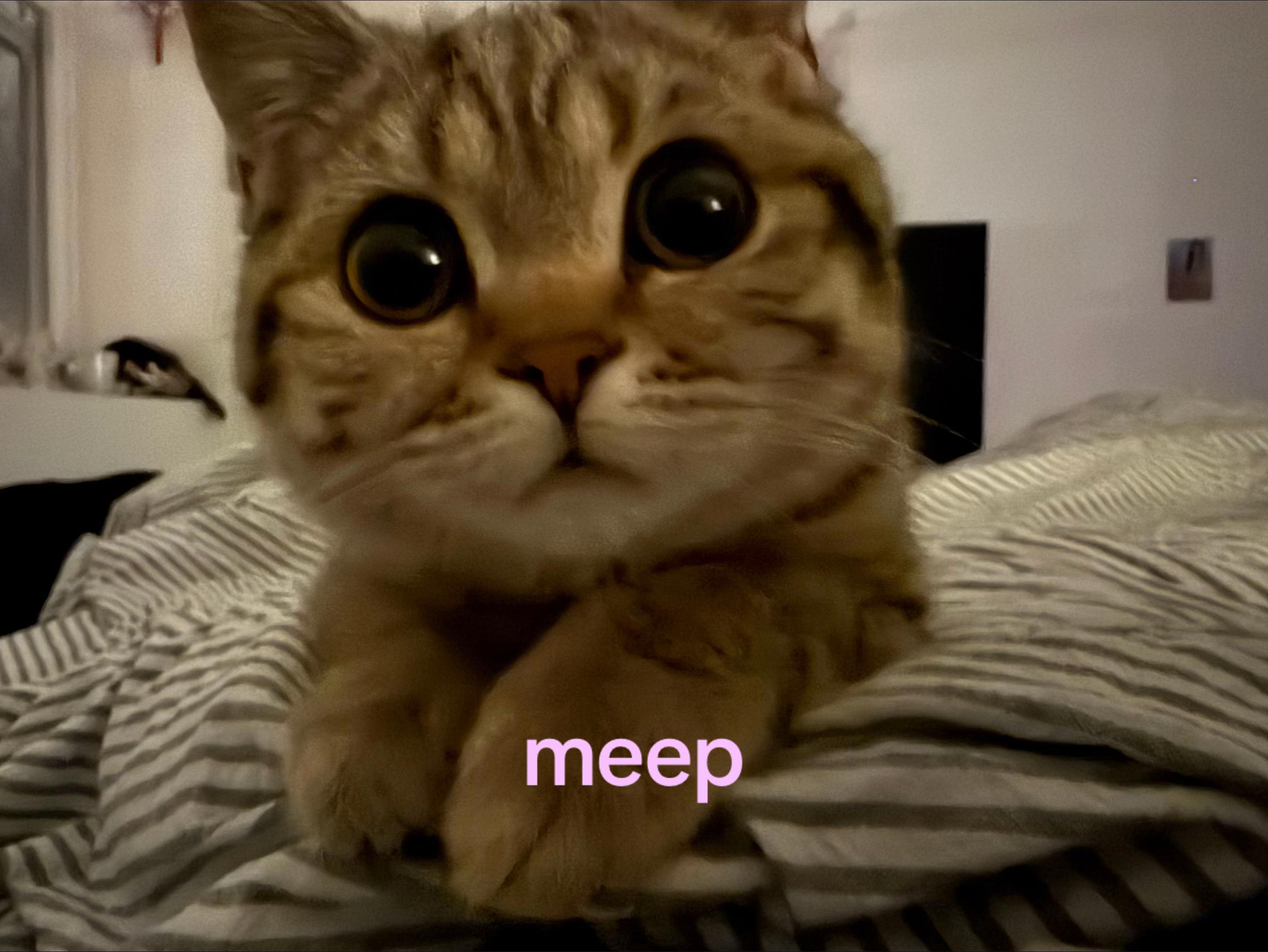 @asian chloe sevigny