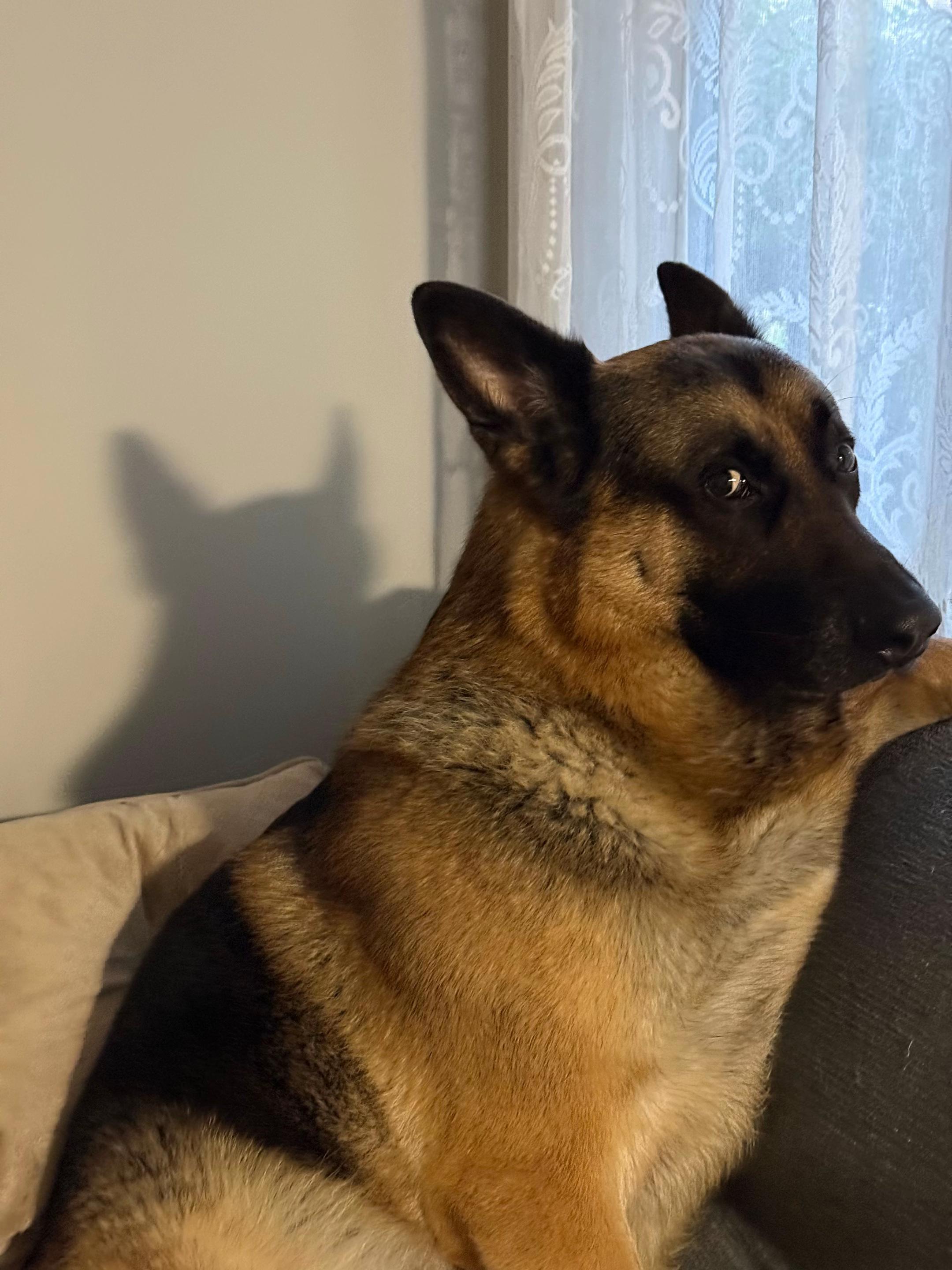 @Martygsd