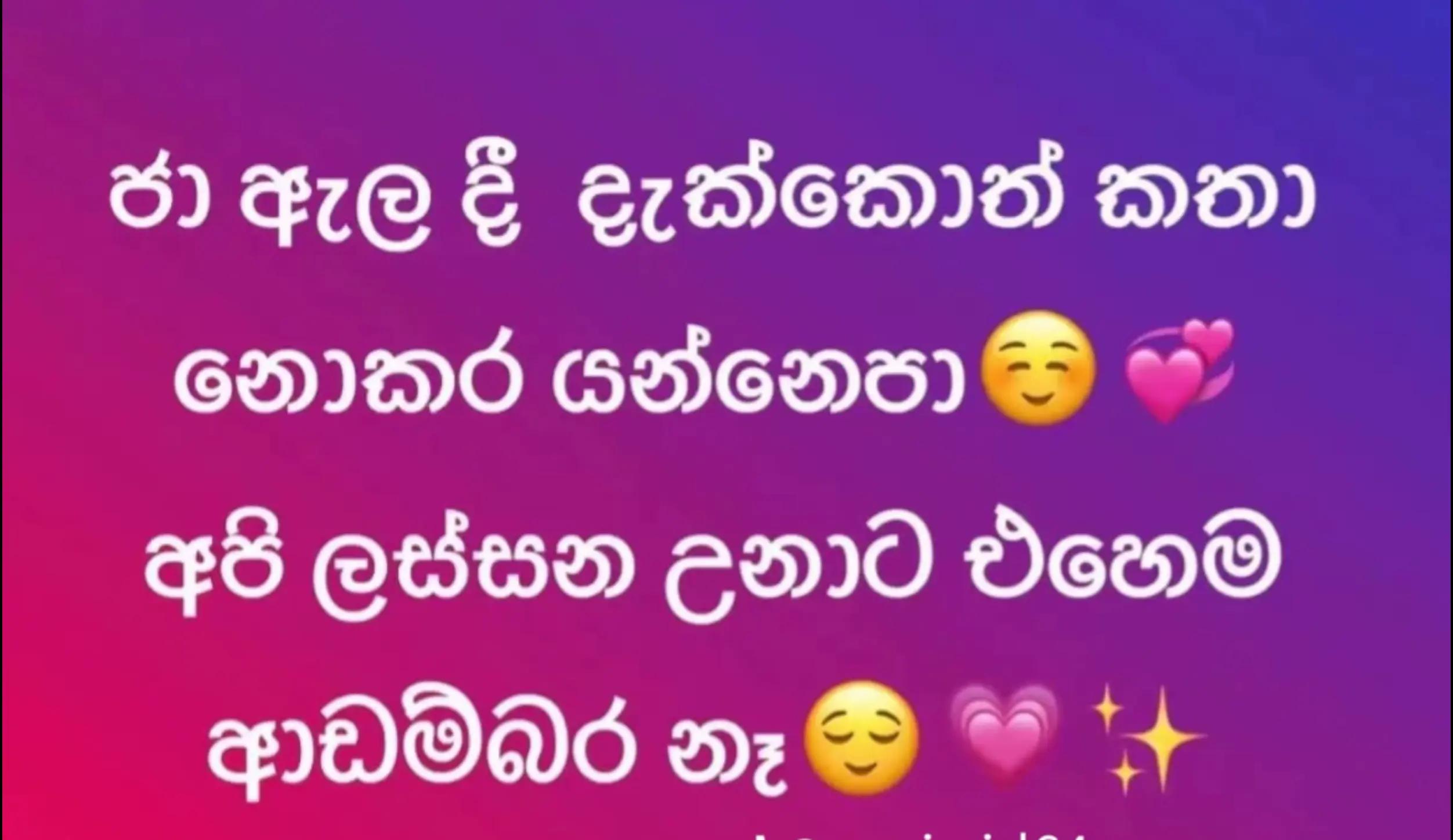 @bunny.๐