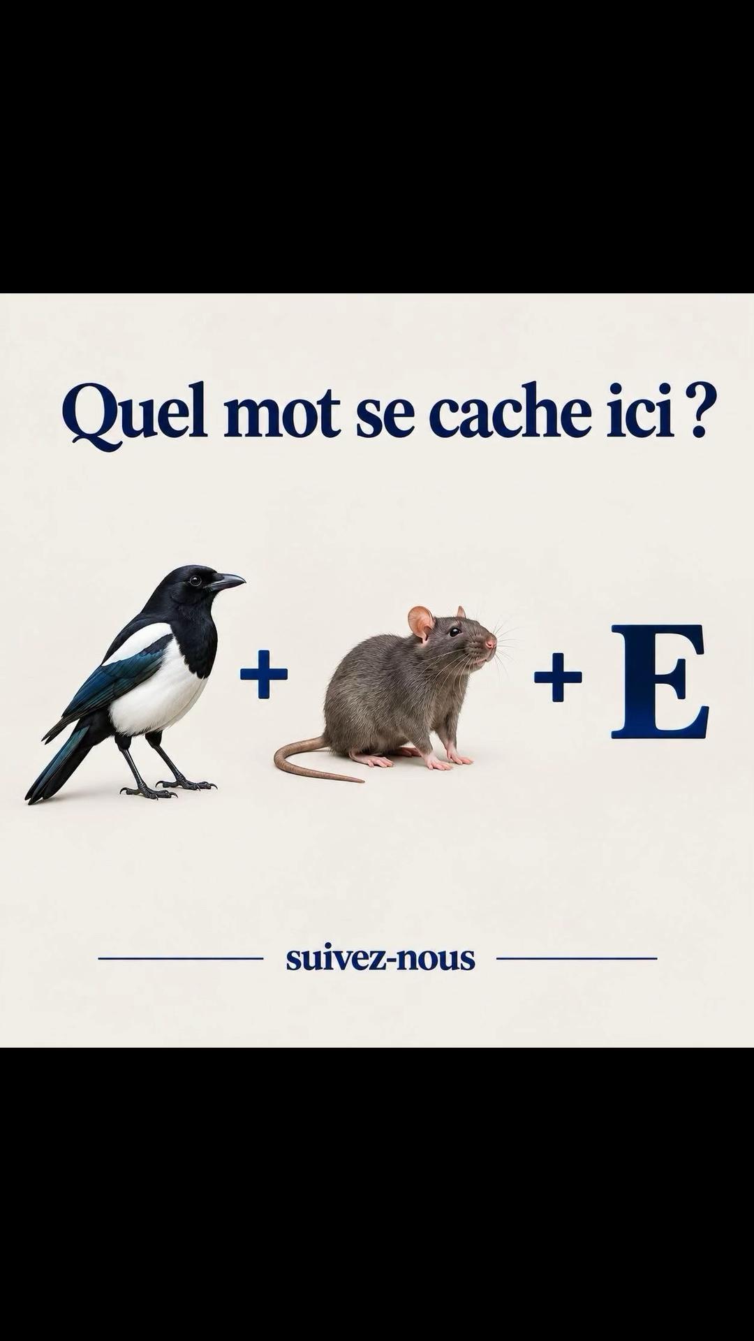 @C___logique__
