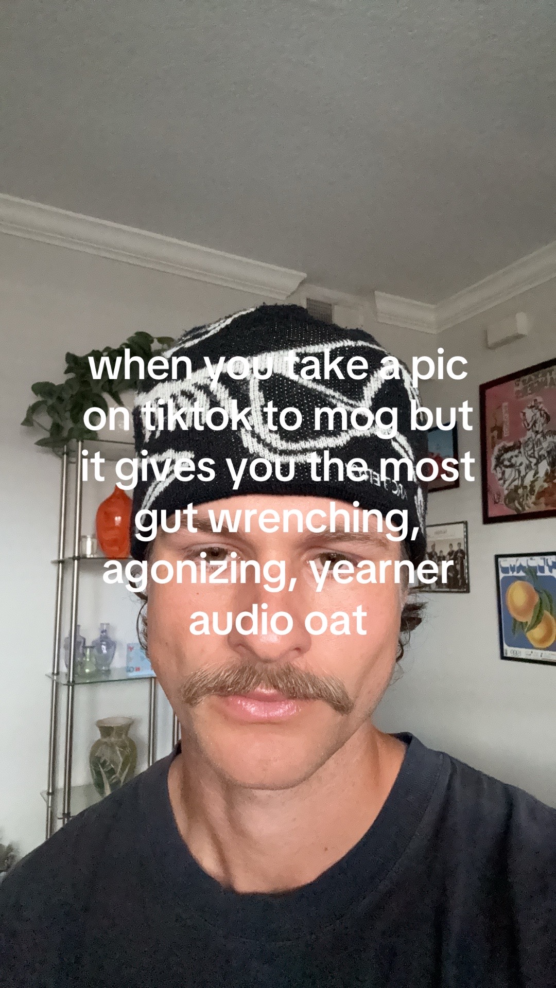 @shane