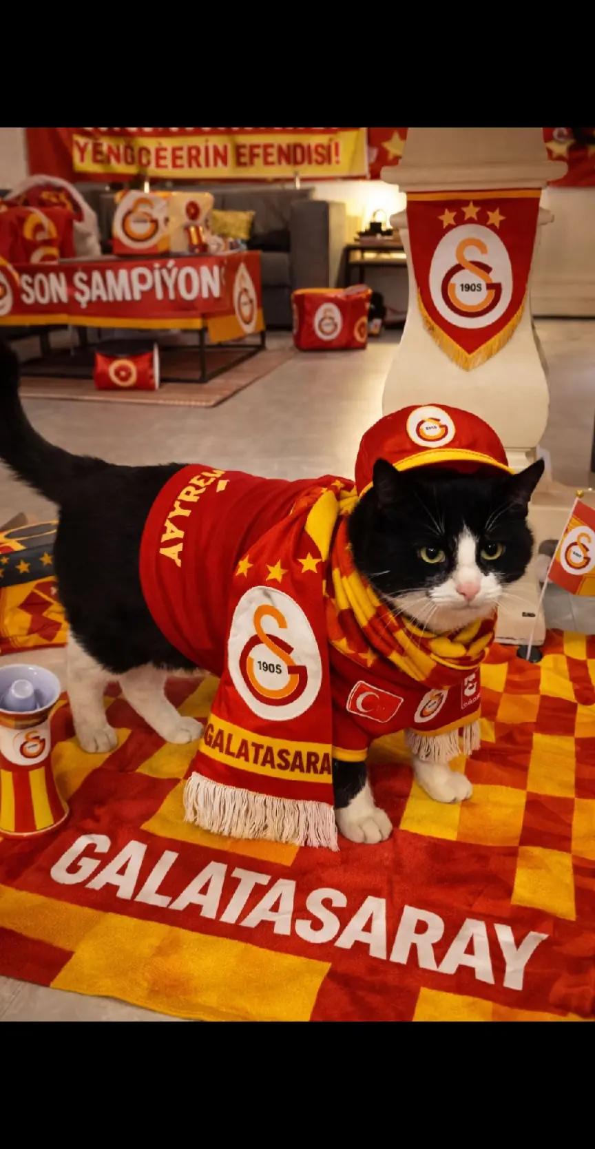 @Ozlem Kocak