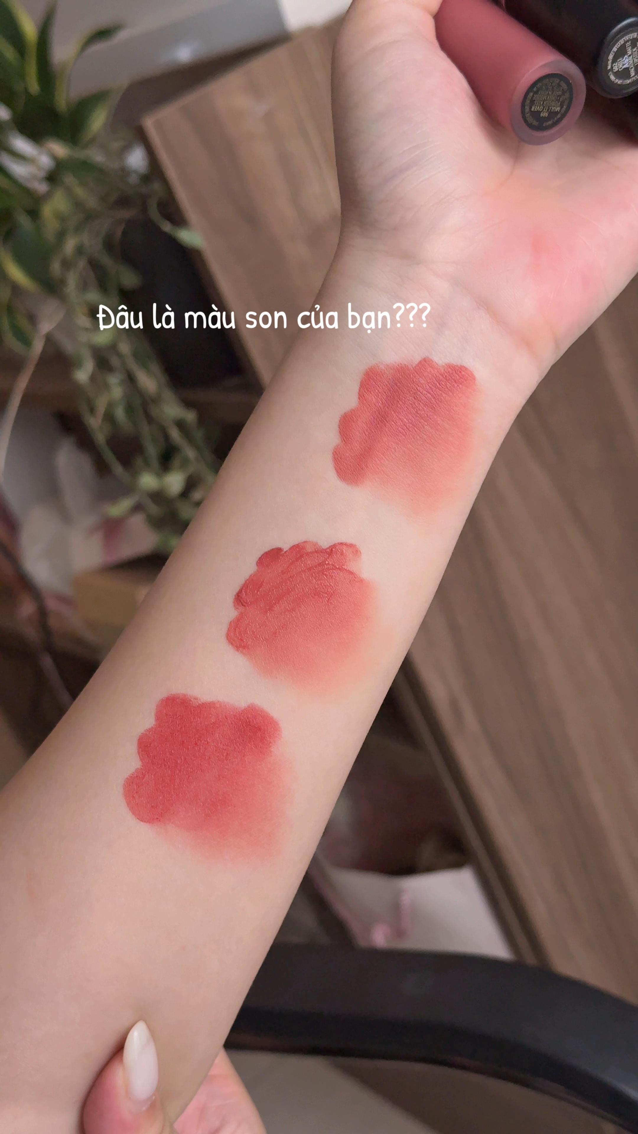 @Son Giá Gốc