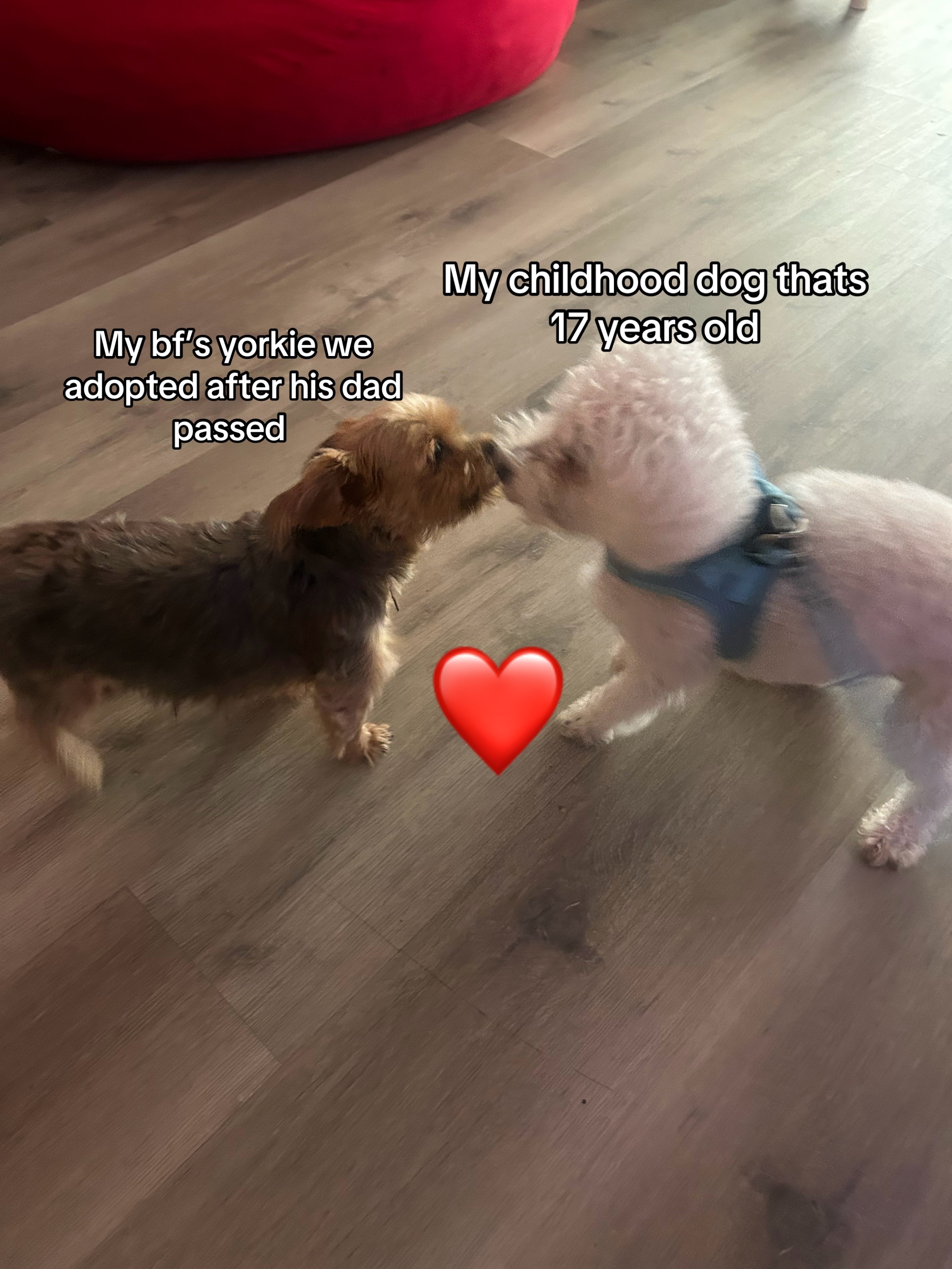 @👻