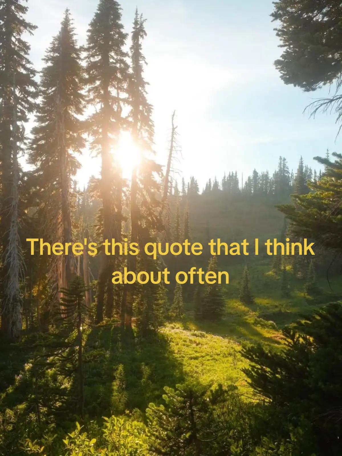 @solar
