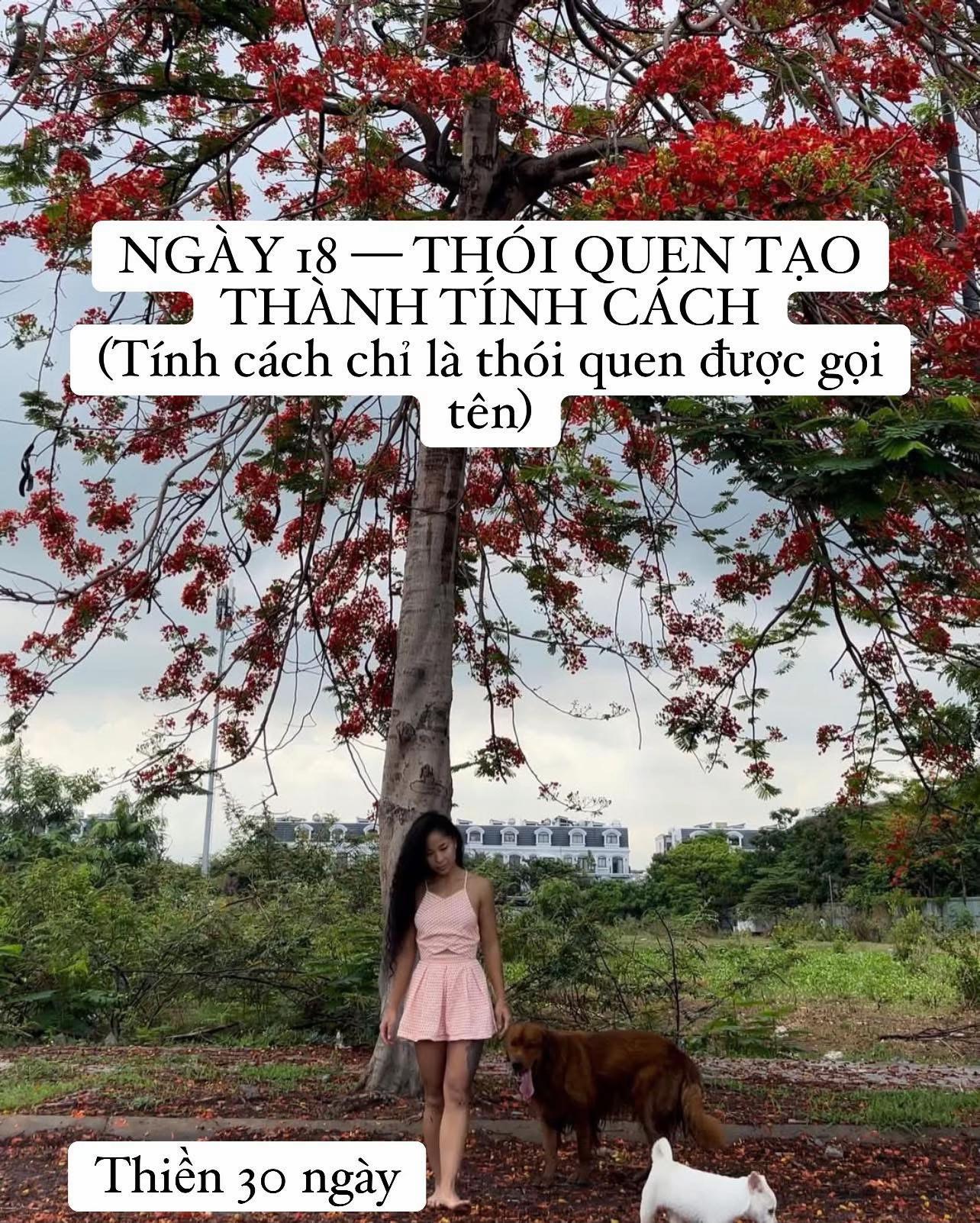 @buihoangbichtho