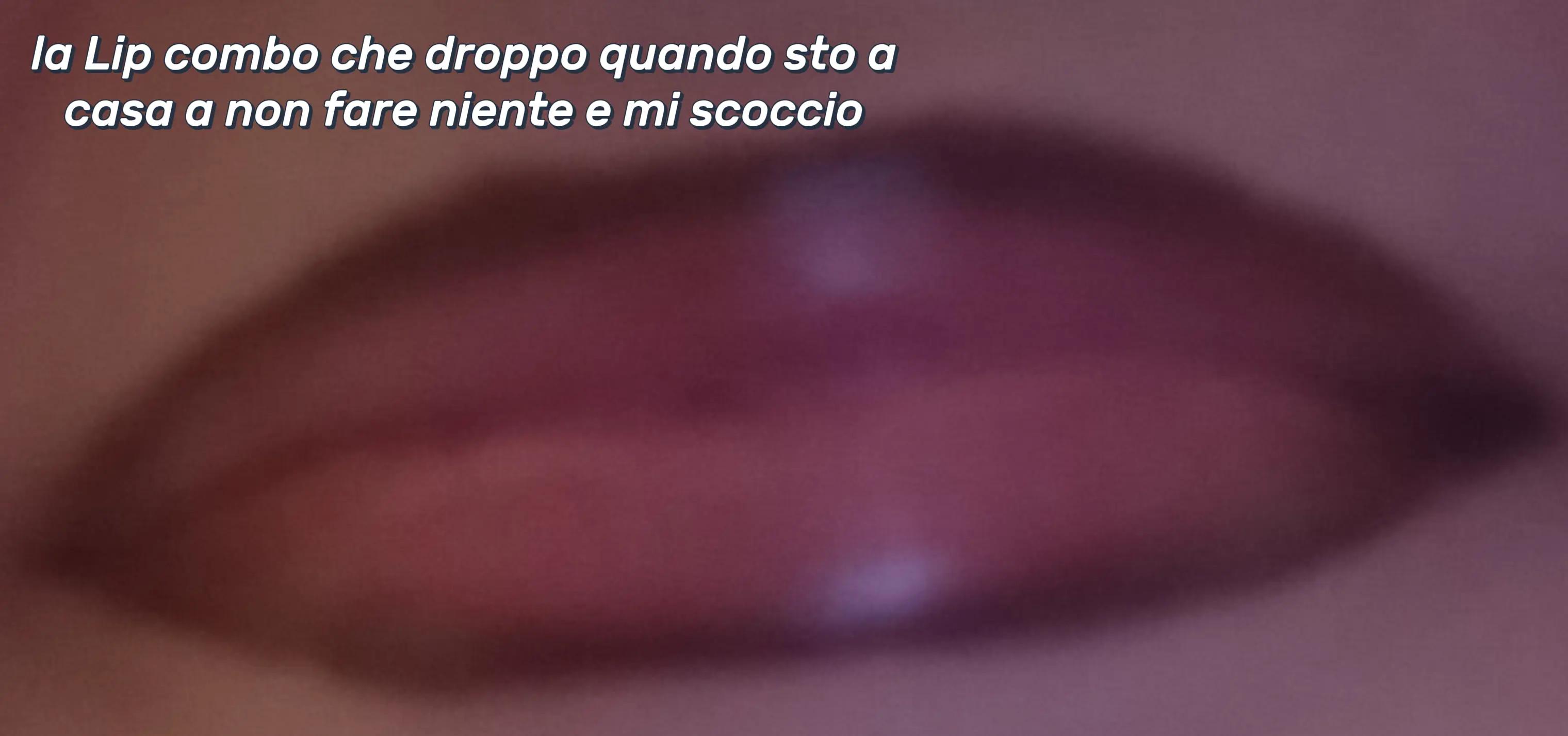 @stellina