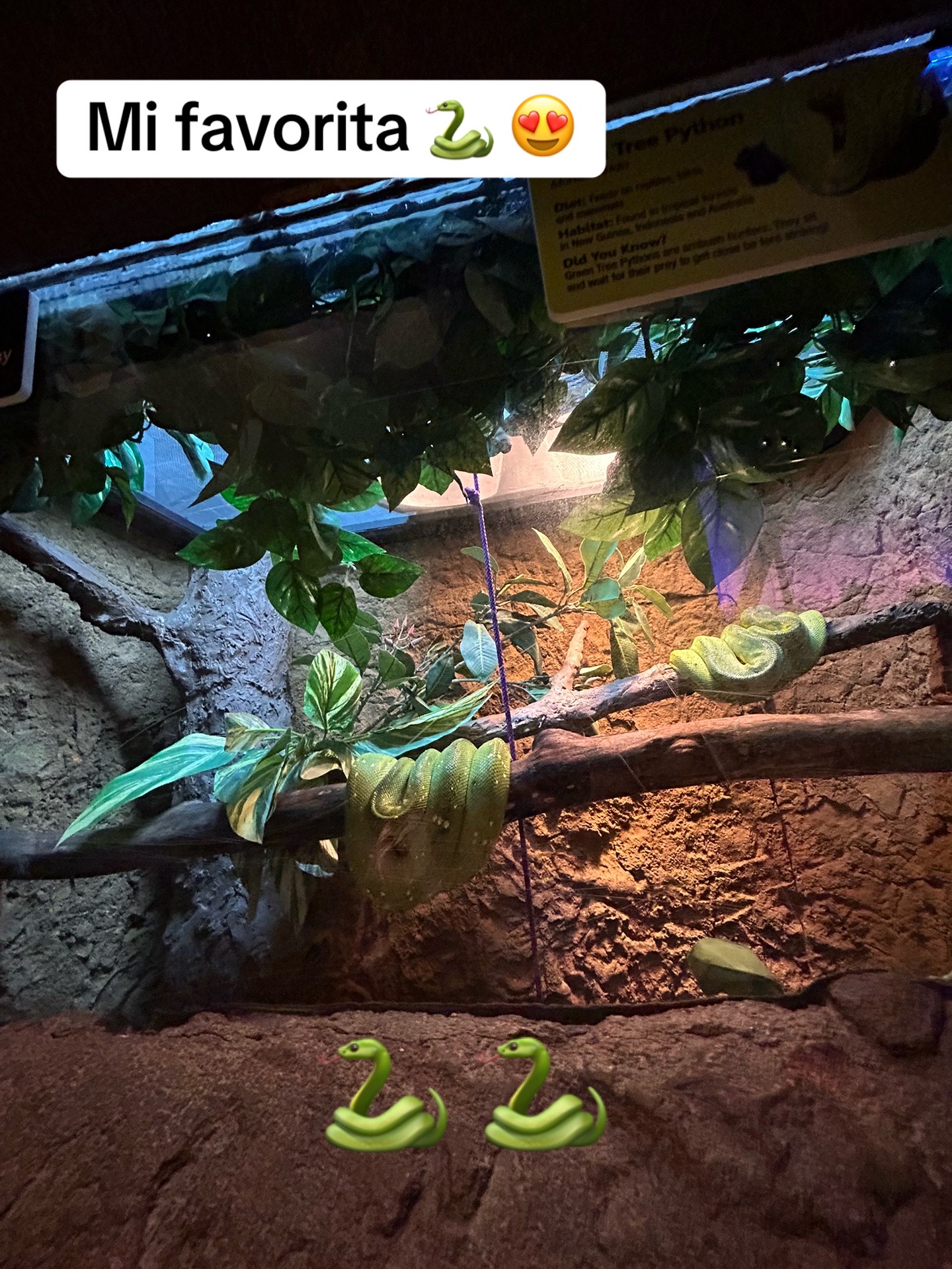 @🐬🐎🐍Rosy Romero 🪽🪽🦚🦩