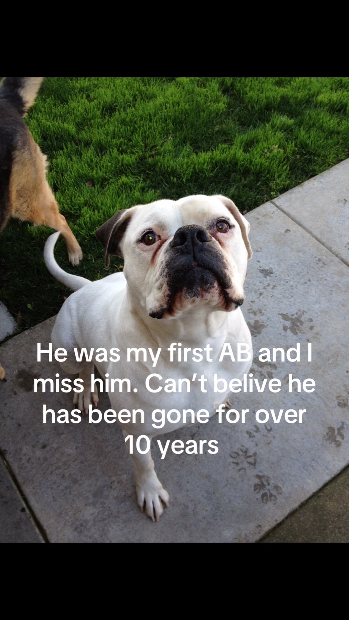 @Rescuelady