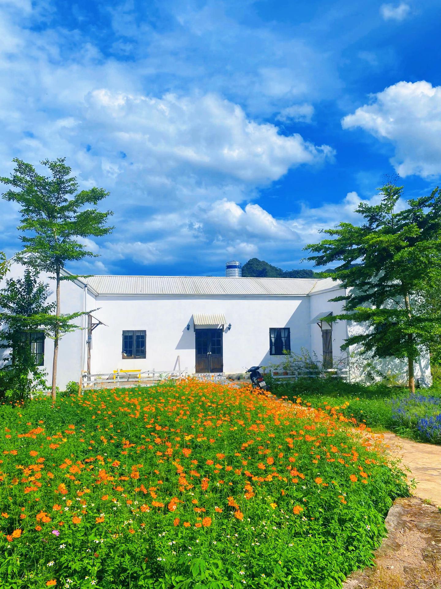 @Dream Farmhouse Mộc Châu