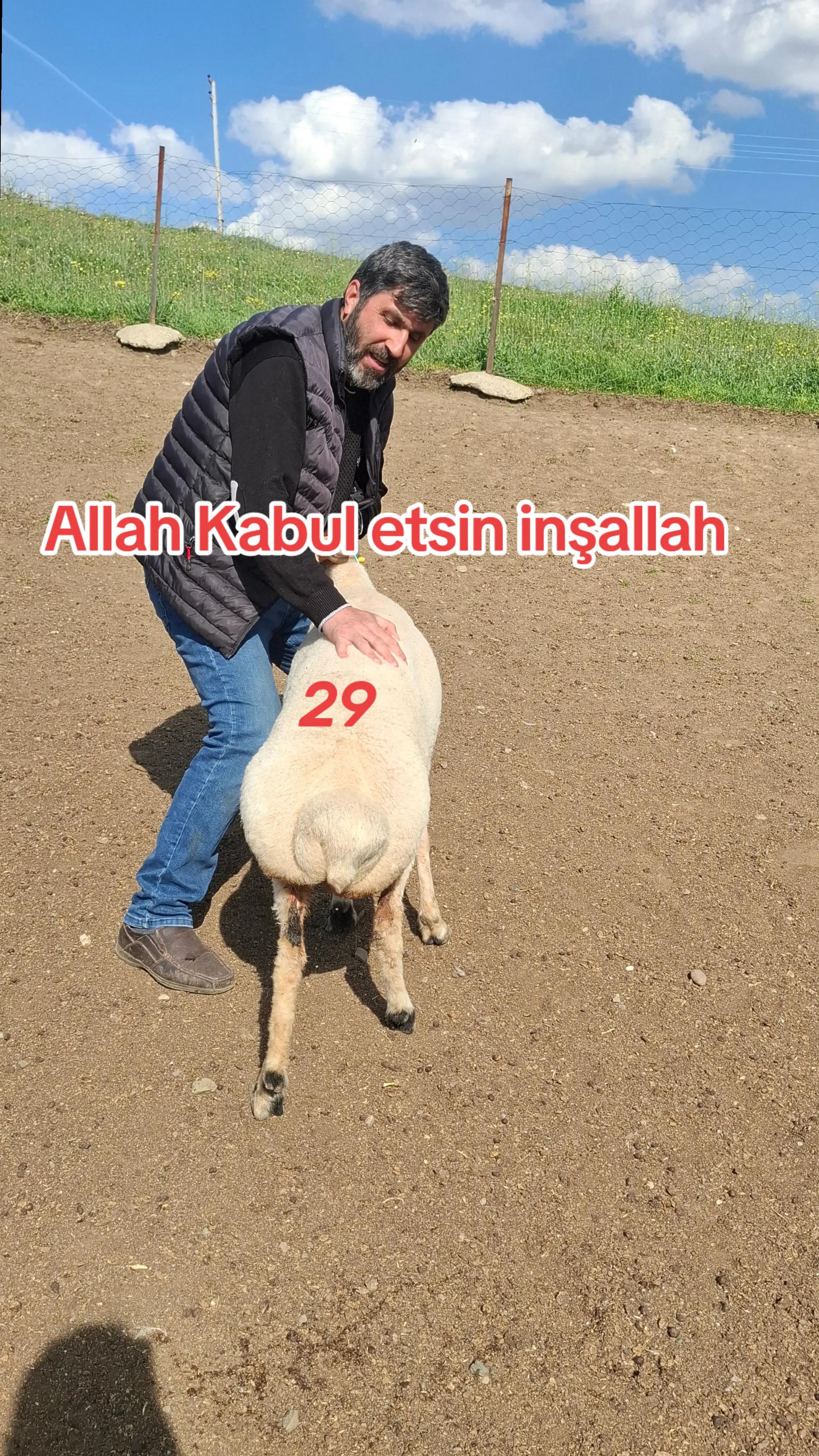 @✎﹏﹏𝐾𝑎𝑑𝑖𝑟 Ş𝑎ℎ&icirc;𝑛﹏﹏