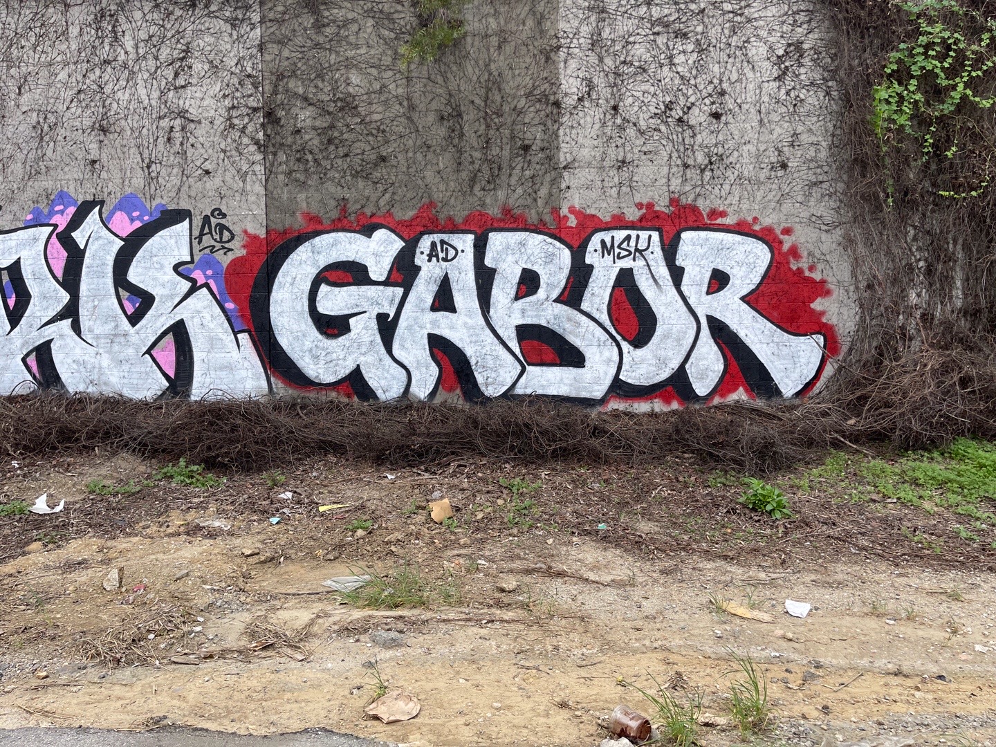 @GaborMSK.AD.TSL