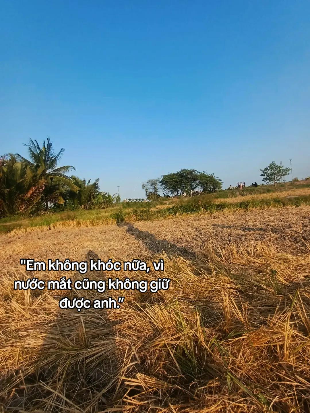 @Thương mỗi m&igrave;nh ch&agrave;ng ❤️&zwj;🩹