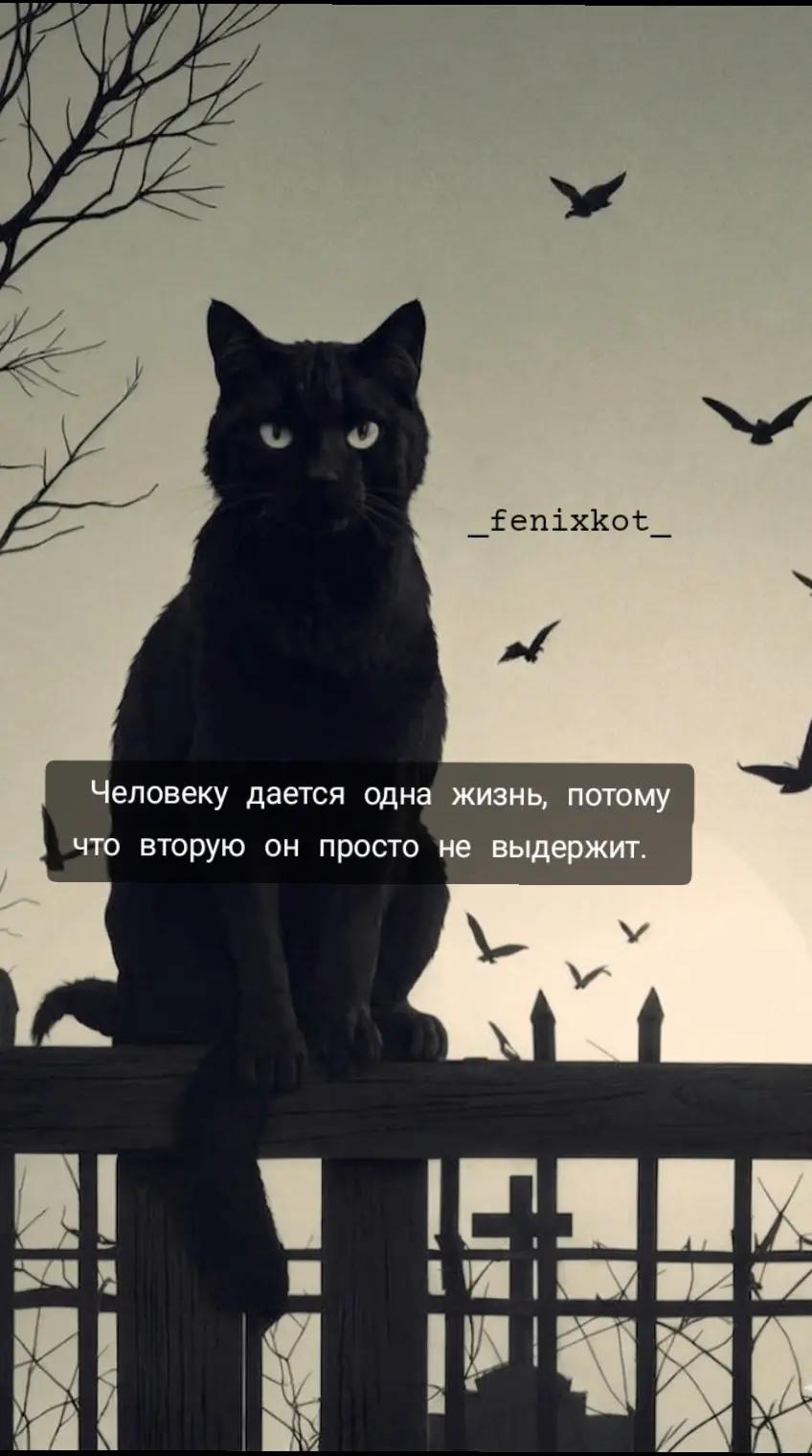 @La❤️koShka