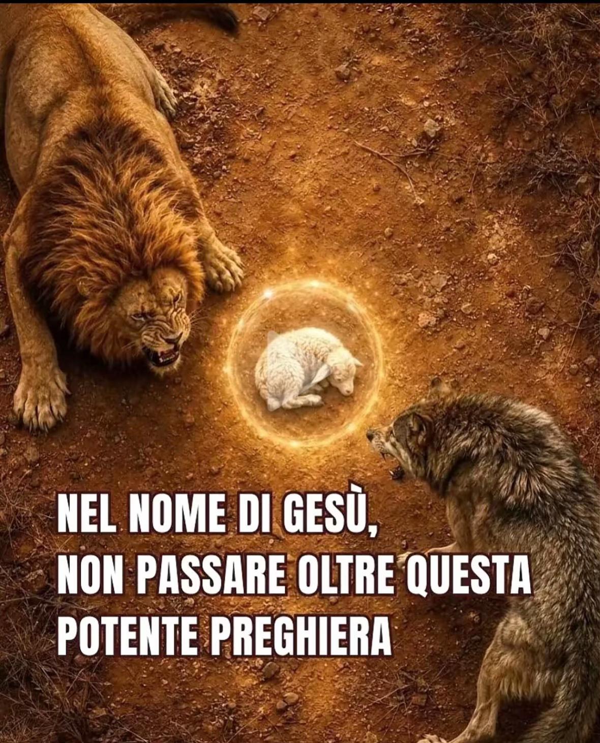 @Patriziagallotta