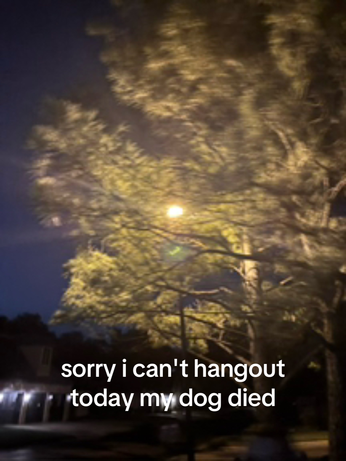 @𝓚❦