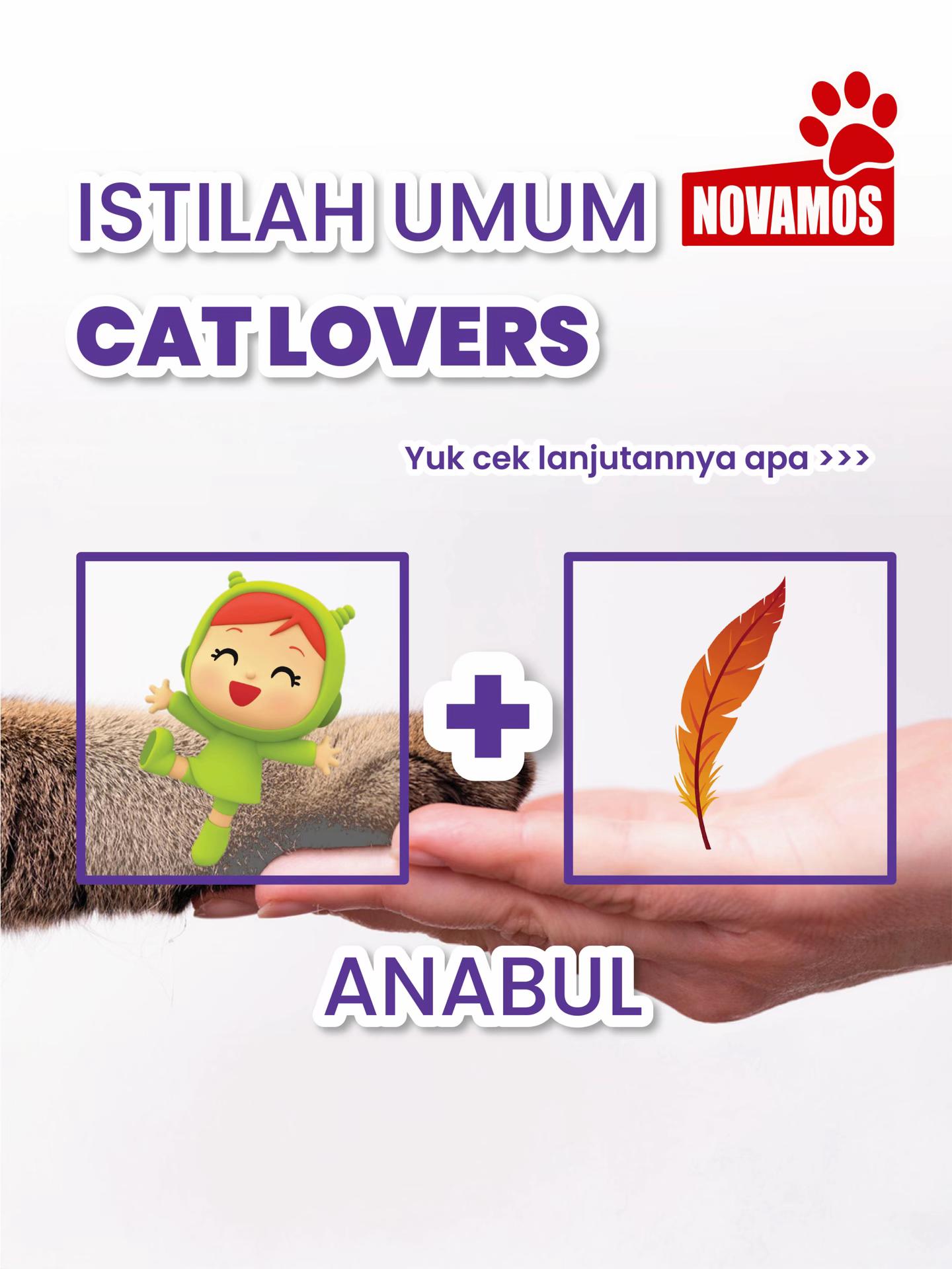 @Novamos Official Store