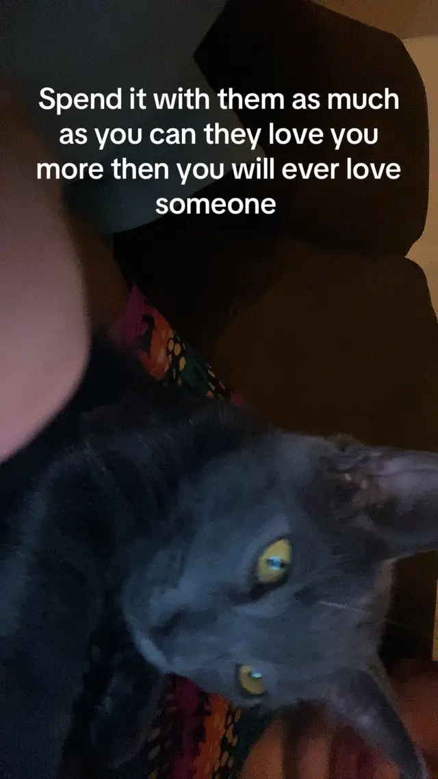 @catmomjailee123
