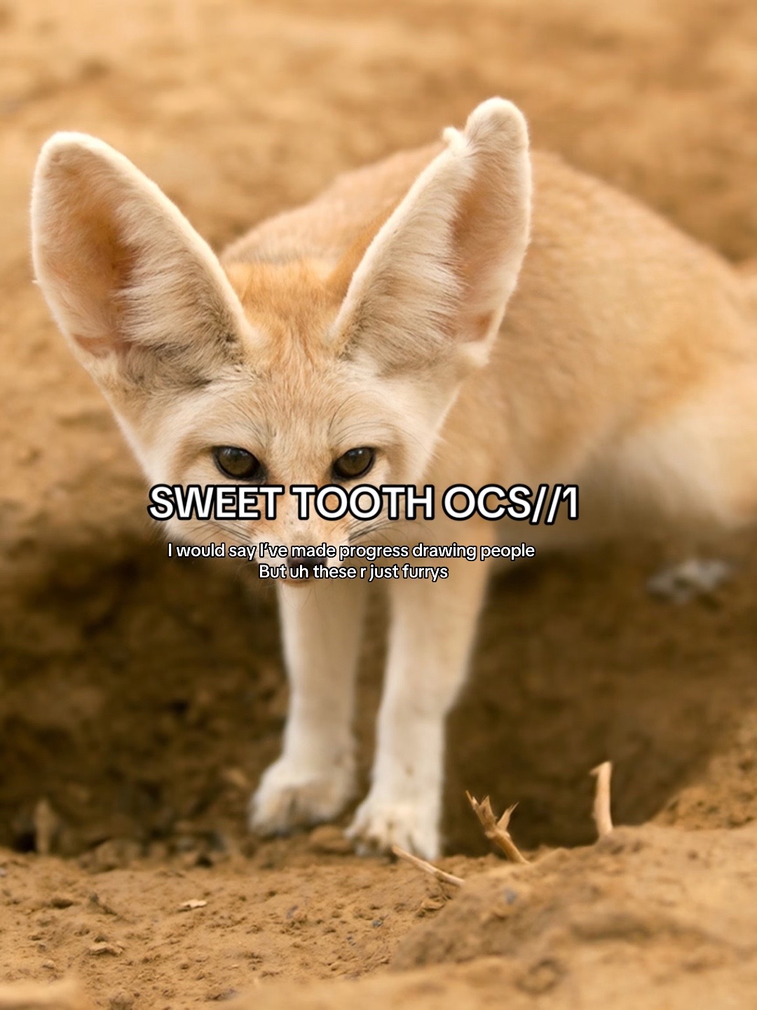 @uglyfurry