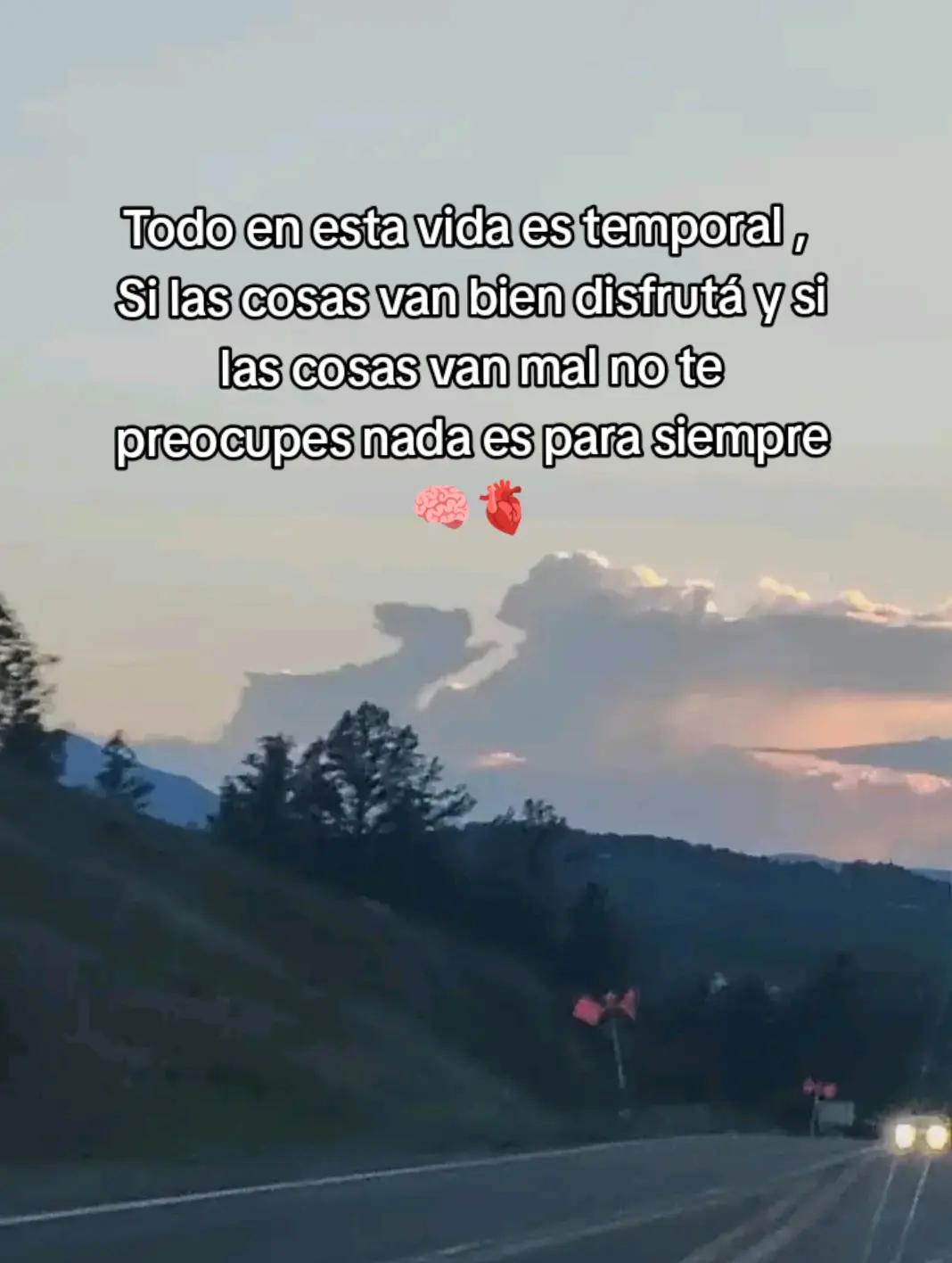 @✨️🌸Luz🌸✨️