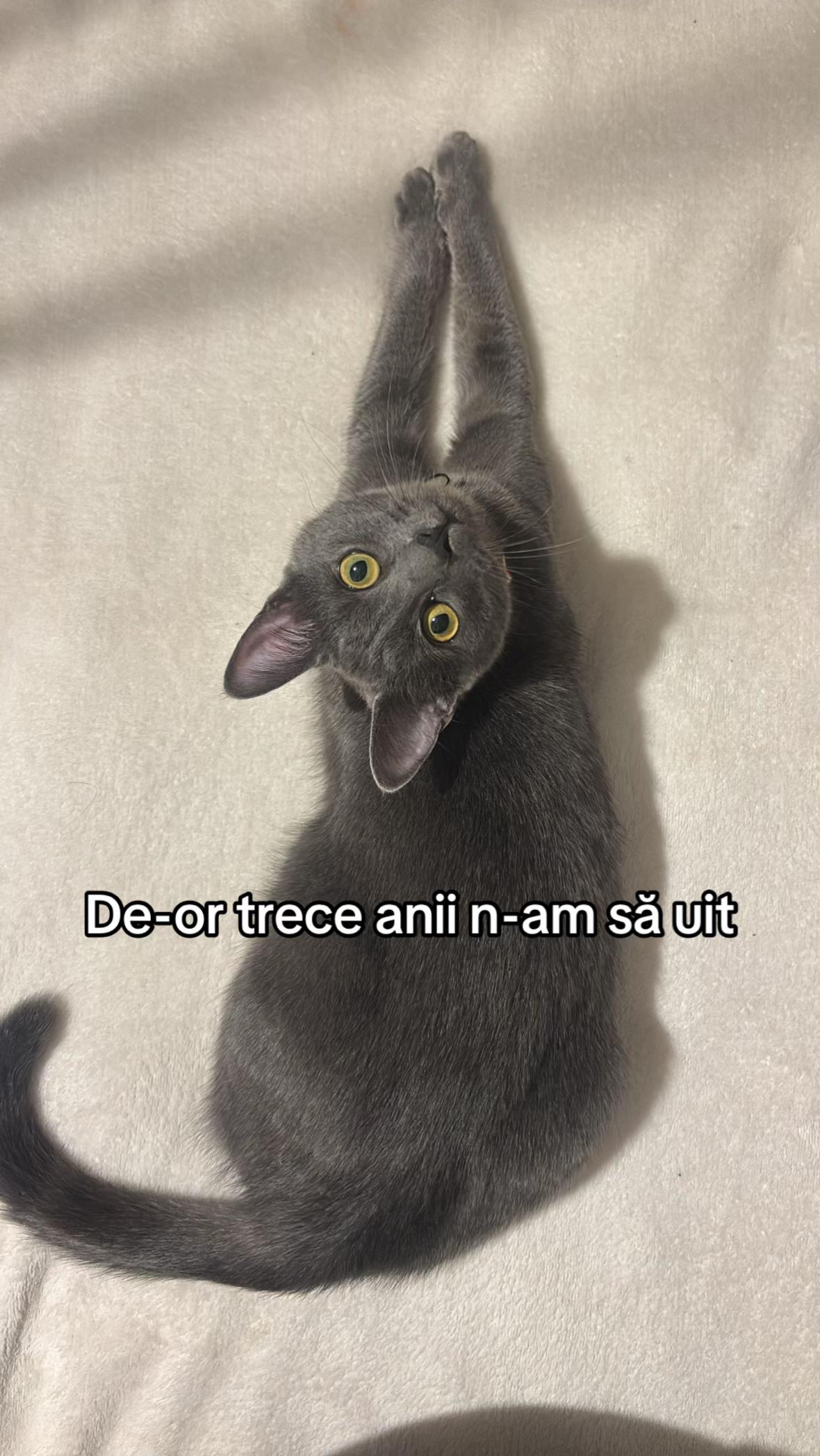 @zeyneppaulaaaa