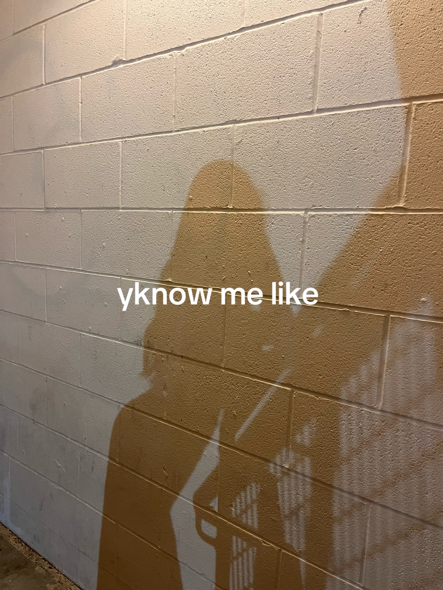 @y/n