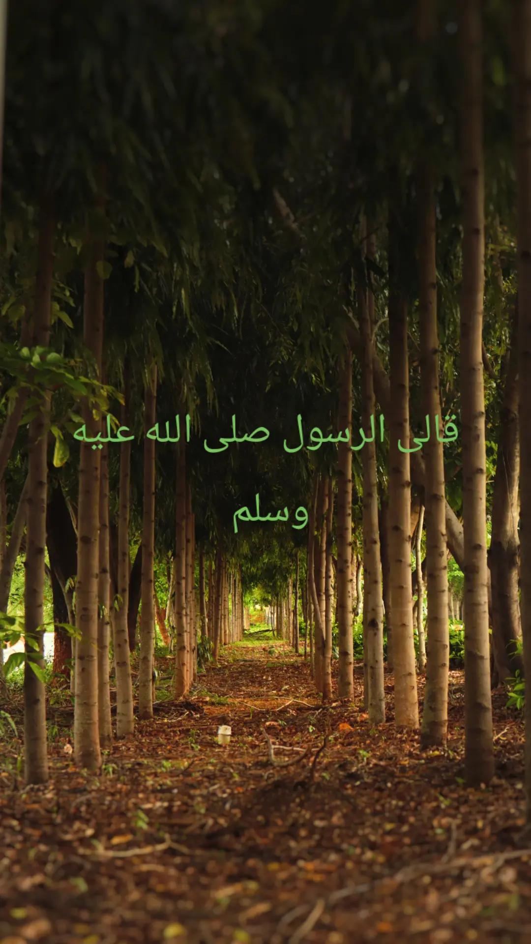 @القرآن الكريم