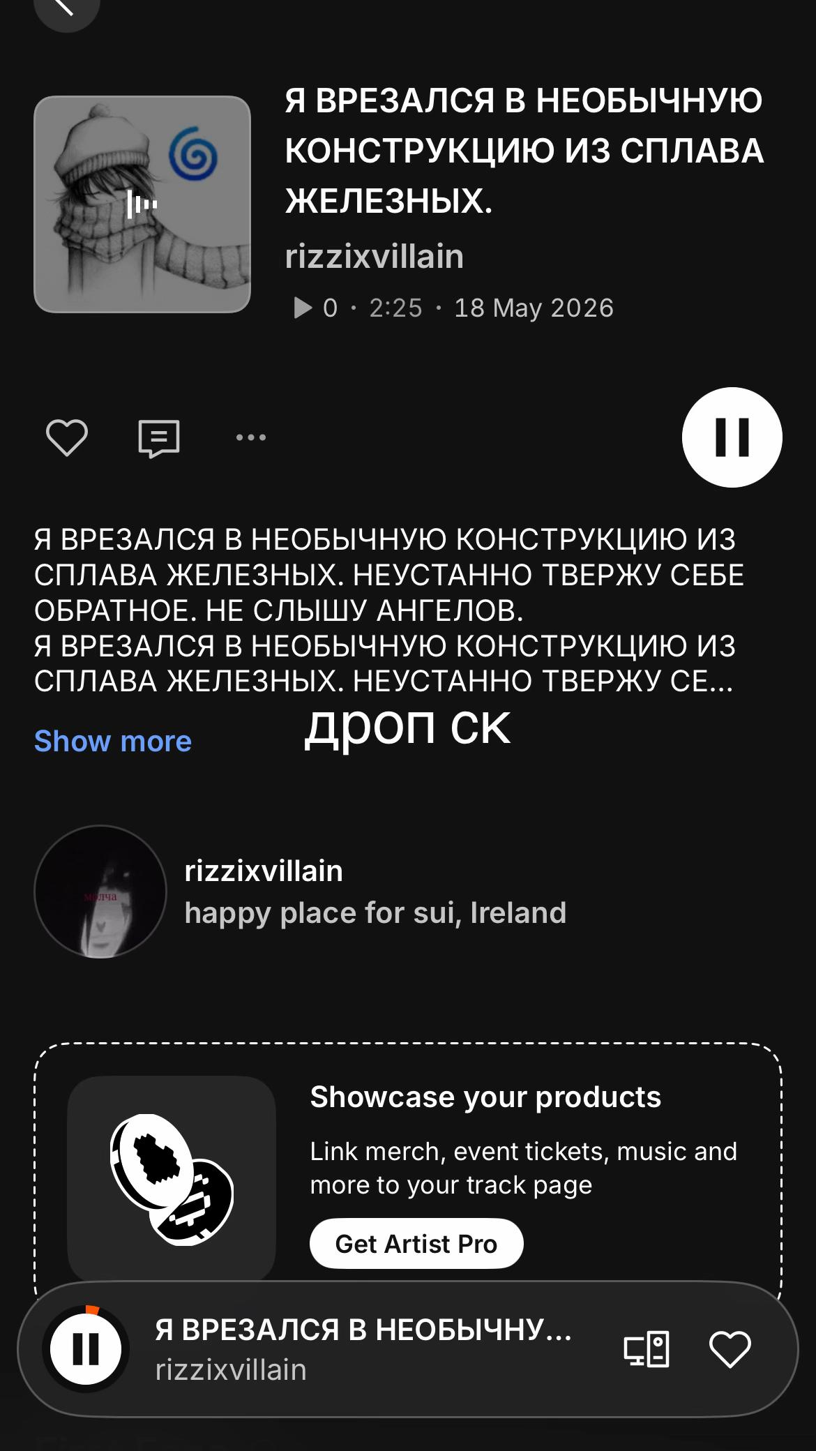 @rizzix#бытшарфика
