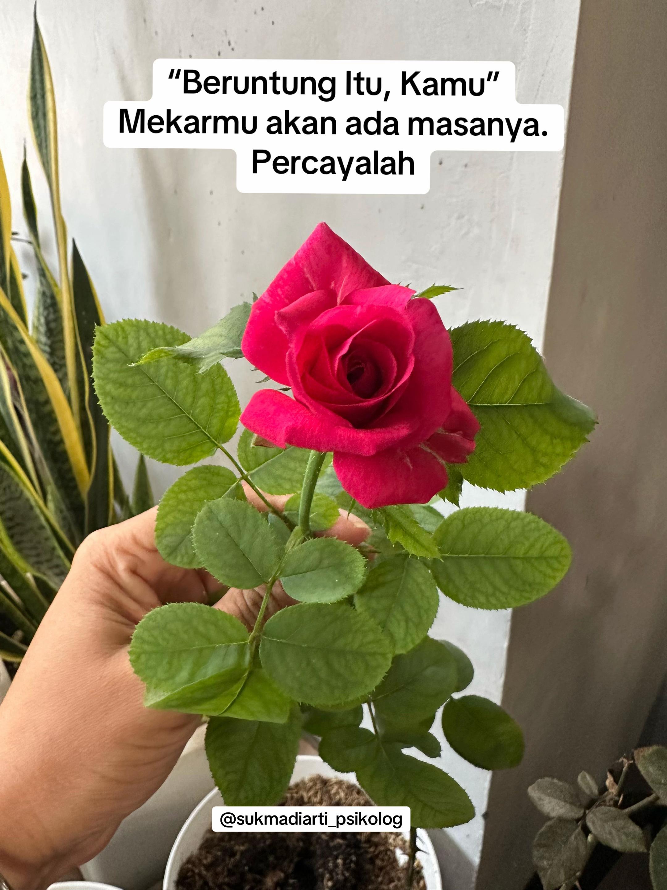 @Sukmadiarti Psikolog
