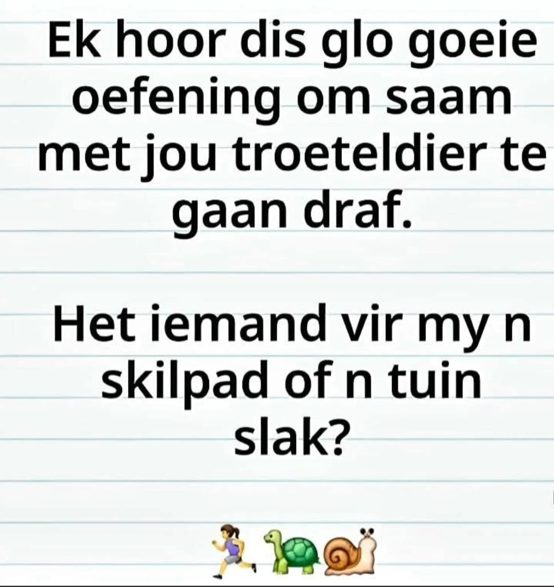 @Sommer net ek