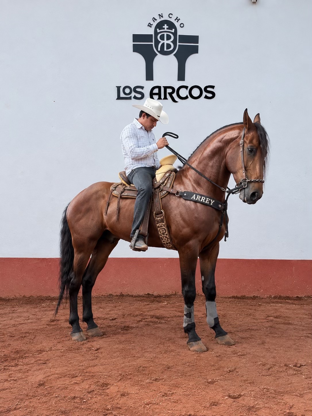 @Rancho los Arcos