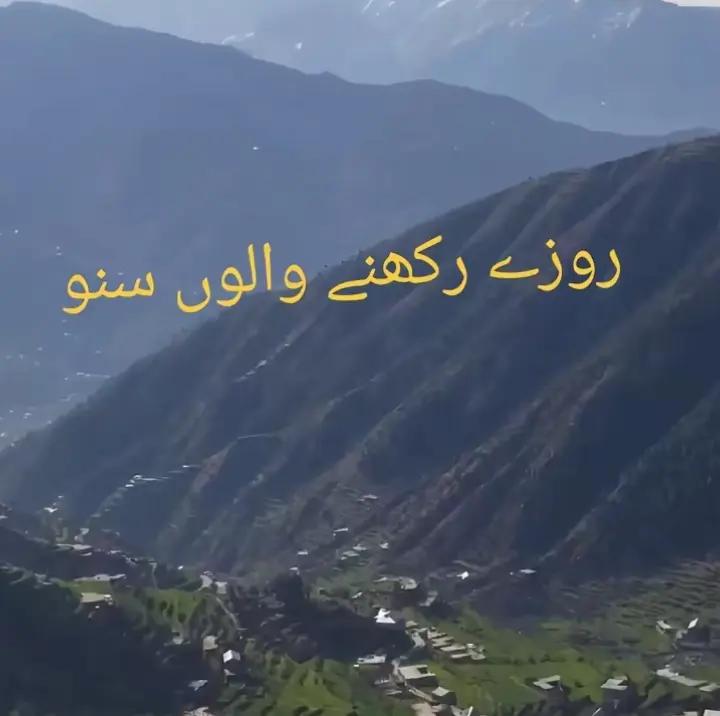 @Zeenat Hamad