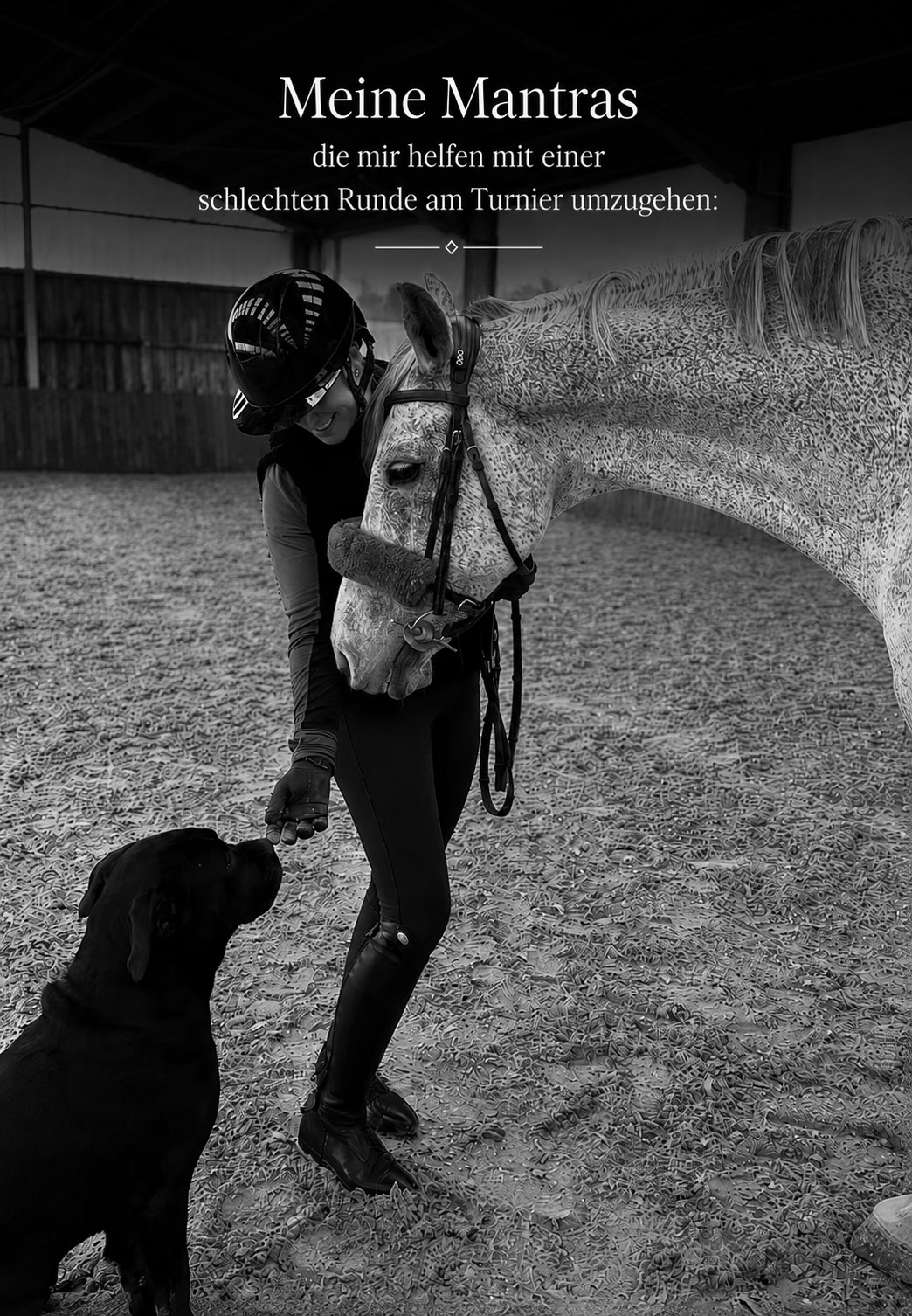 @lam.showjumping