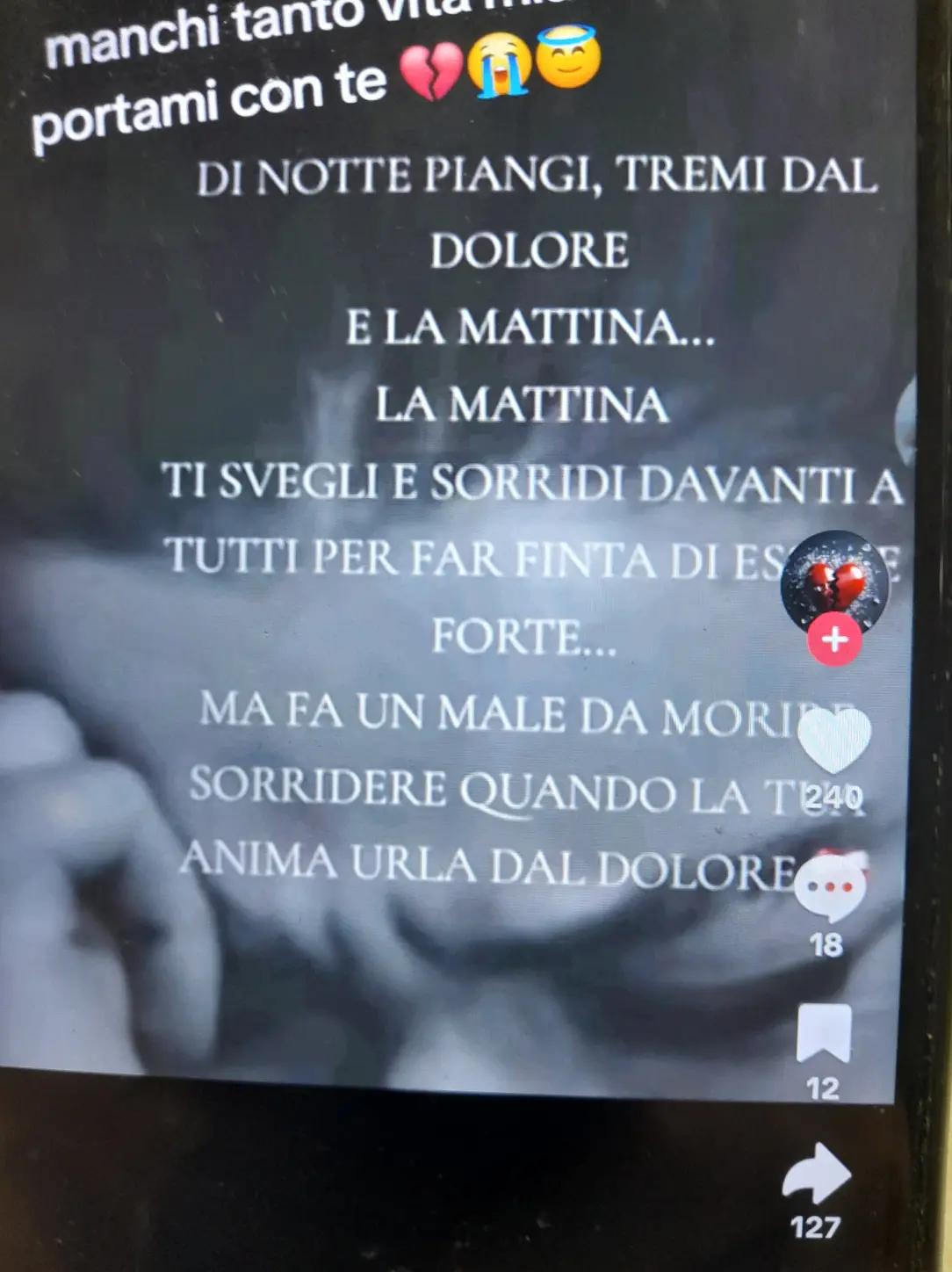 @🔥 la volpe rossa 🔥