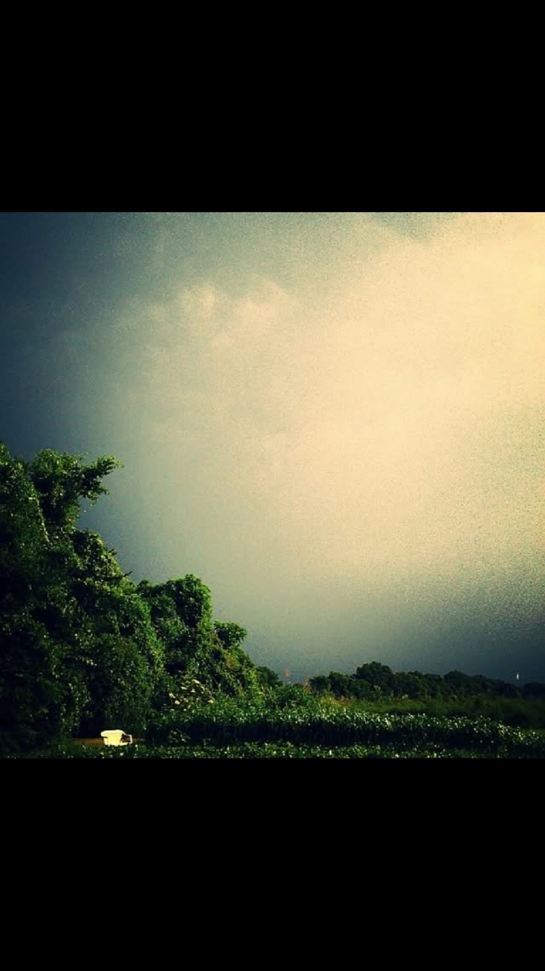 @Lanna Kay Dark