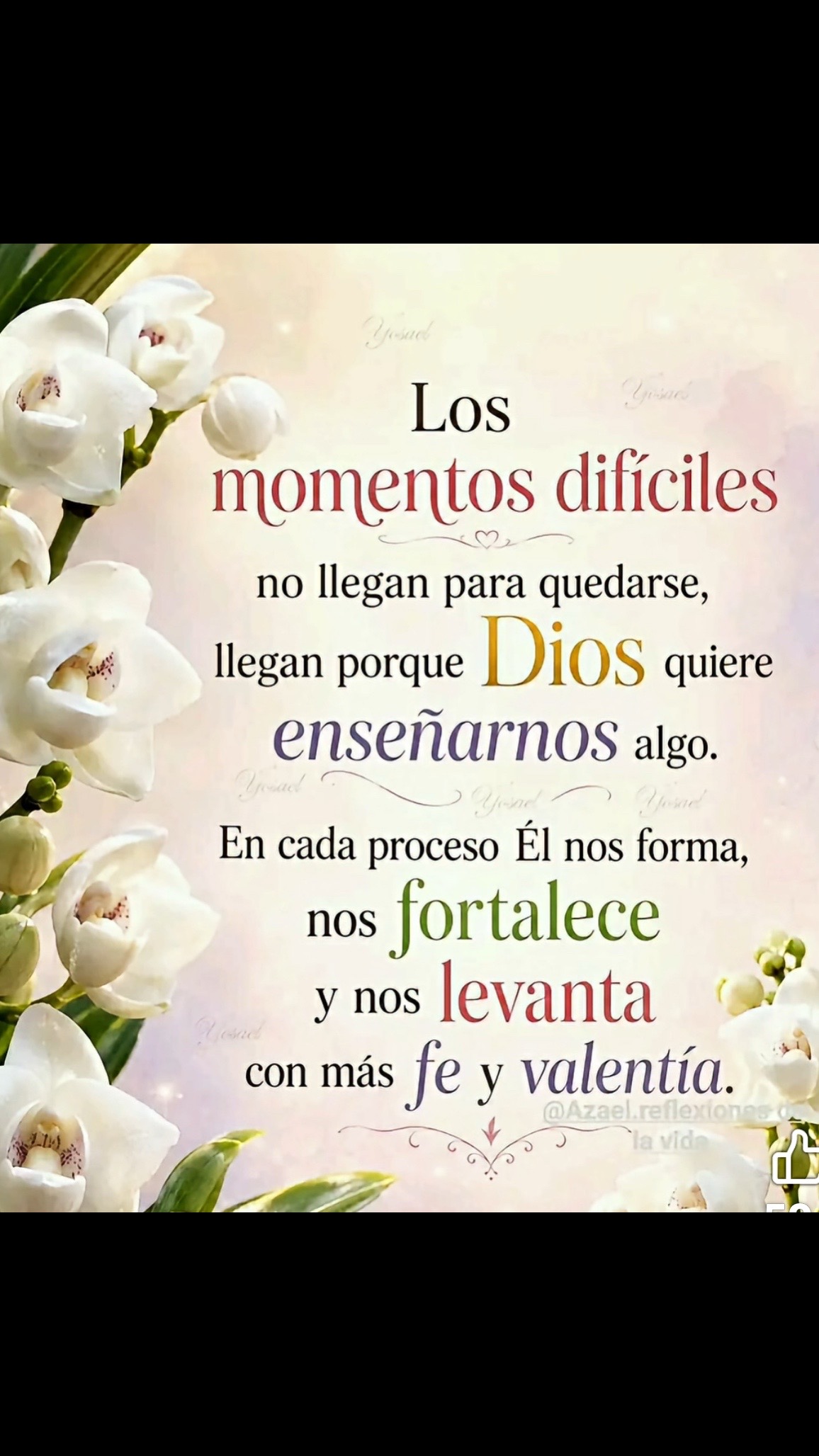 @Ministerio Luz a las Naciones