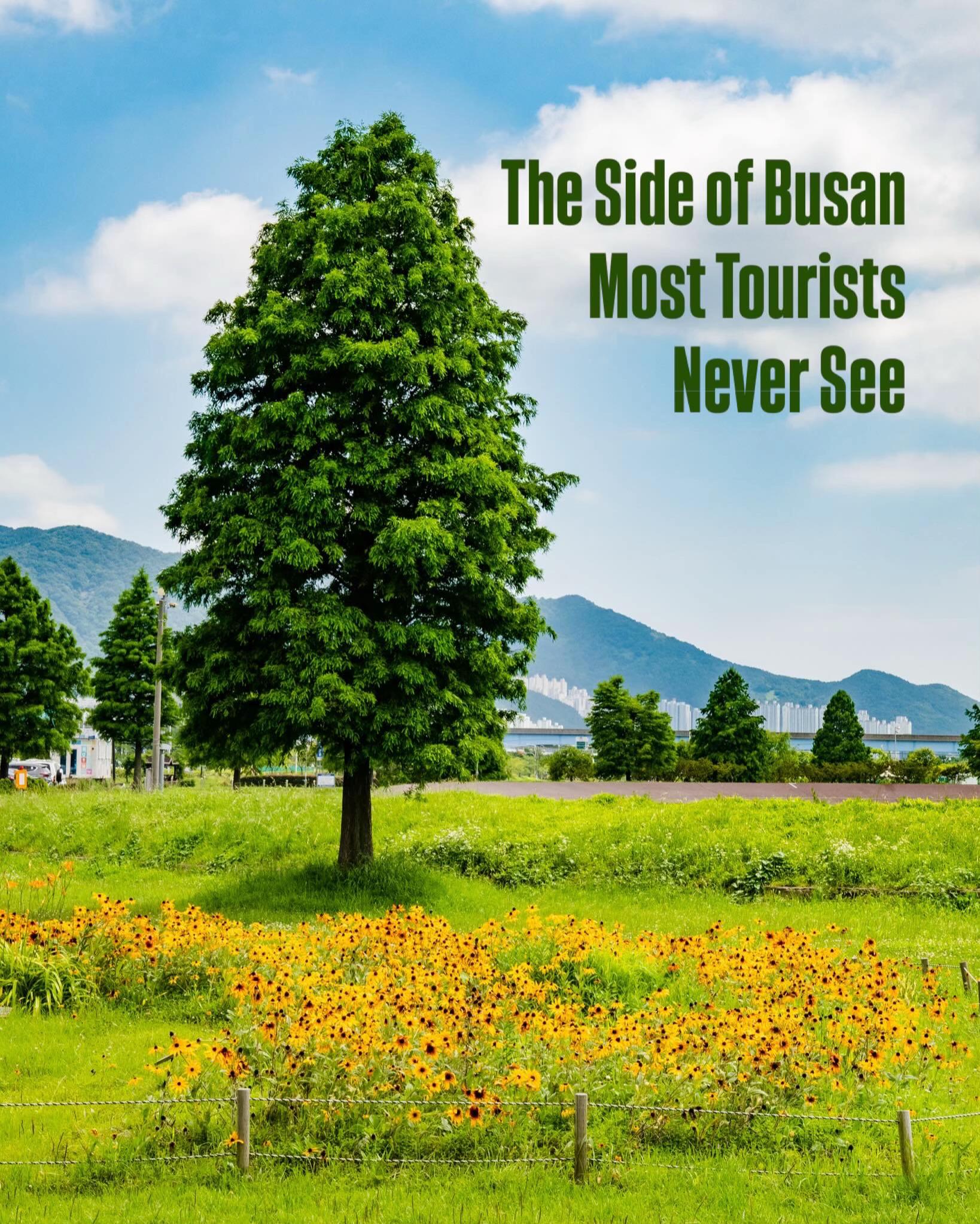 @Busanpedia🇰🇷