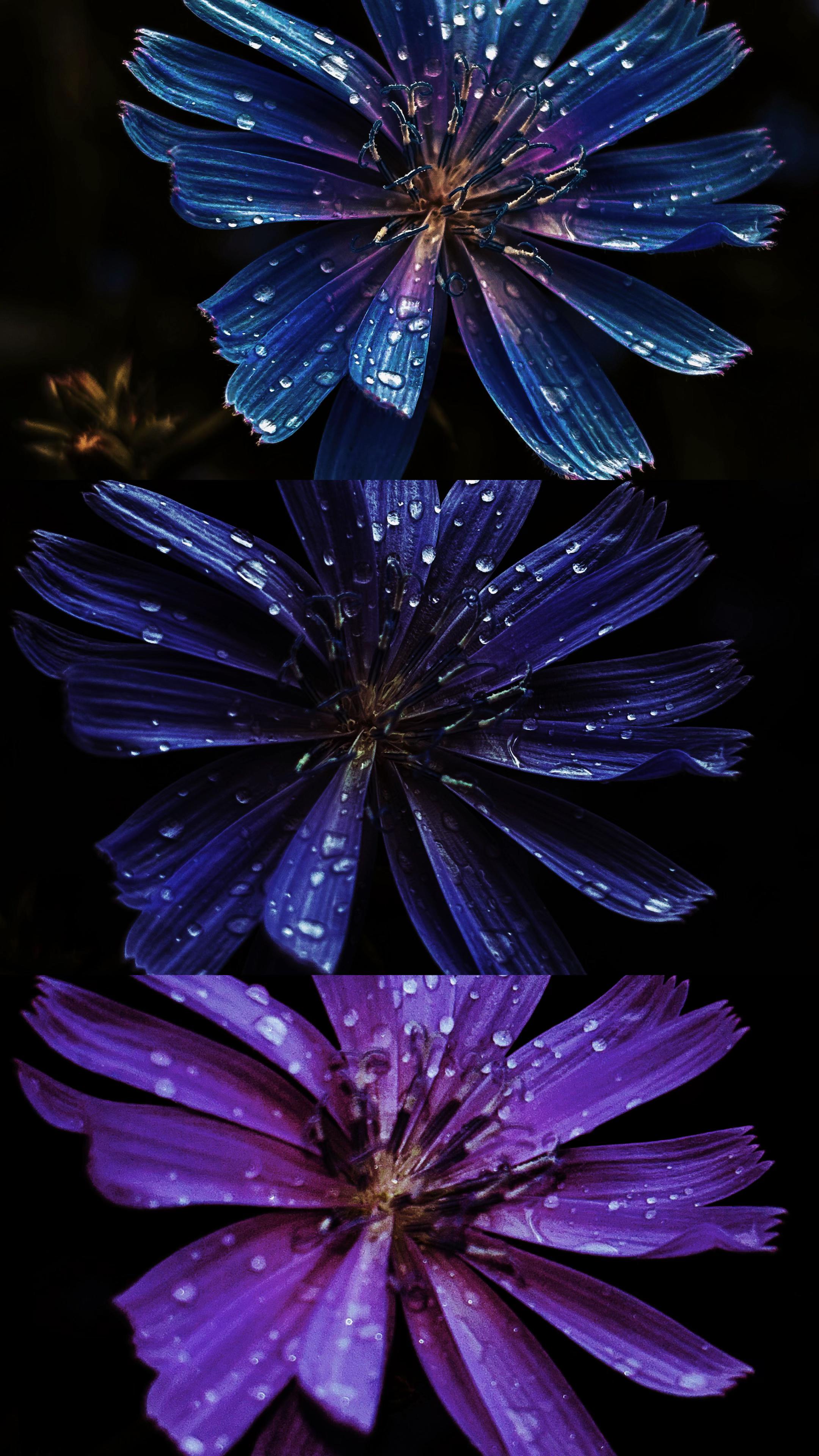 @ᴹᵉʷ³ʷ⁰