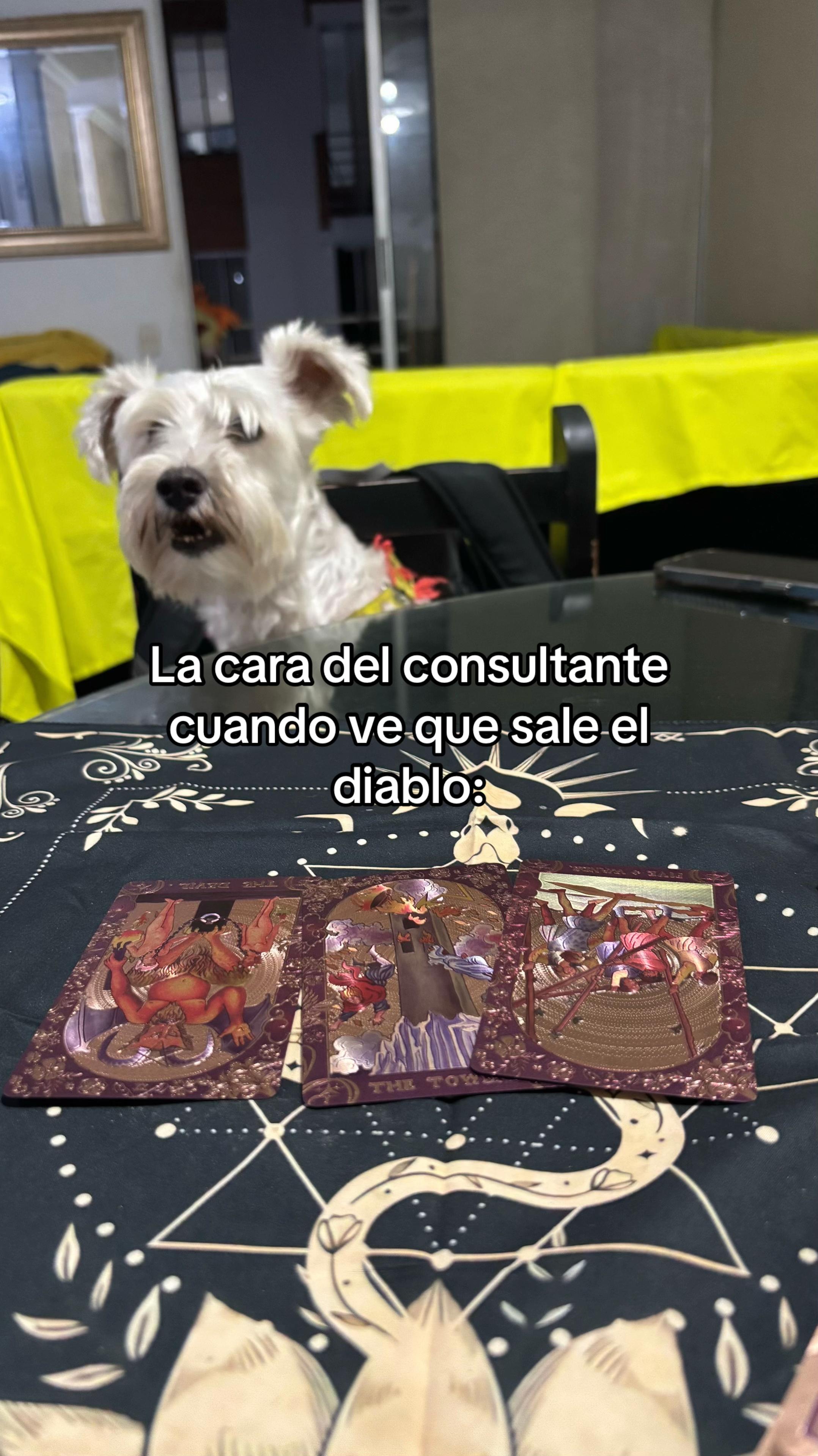@T de Tarot