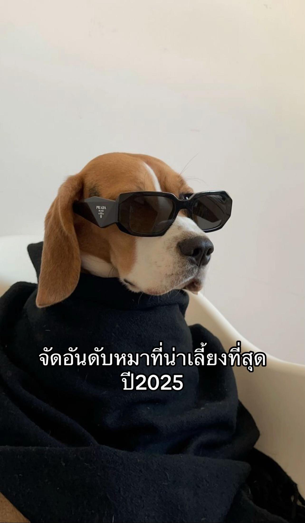 @NUMTANNNN