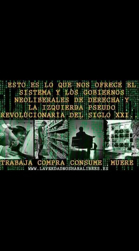 @despierta tu conciencia