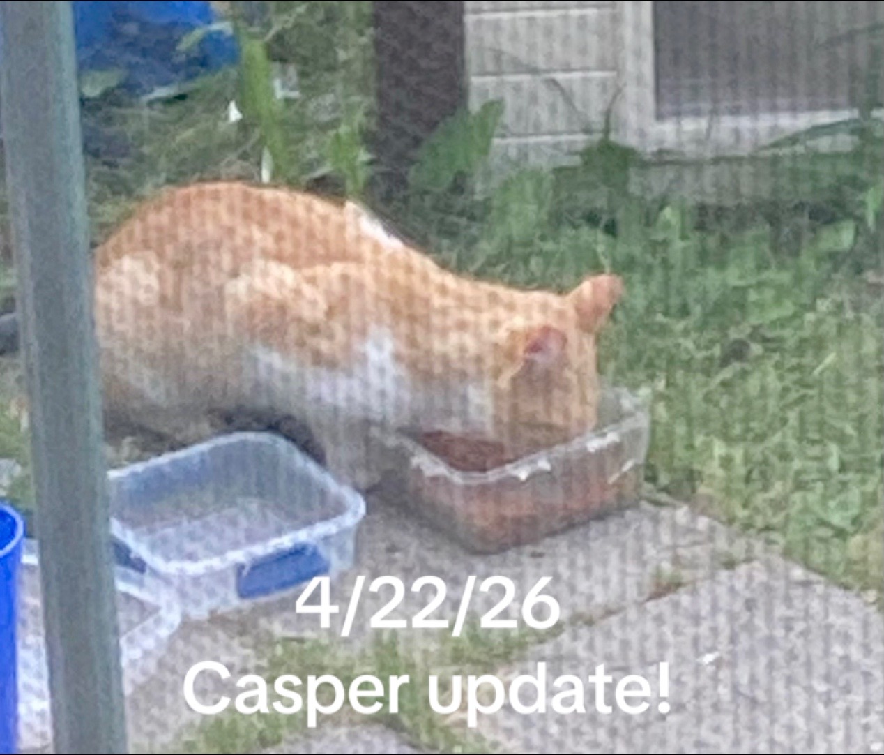 @catmomandexol