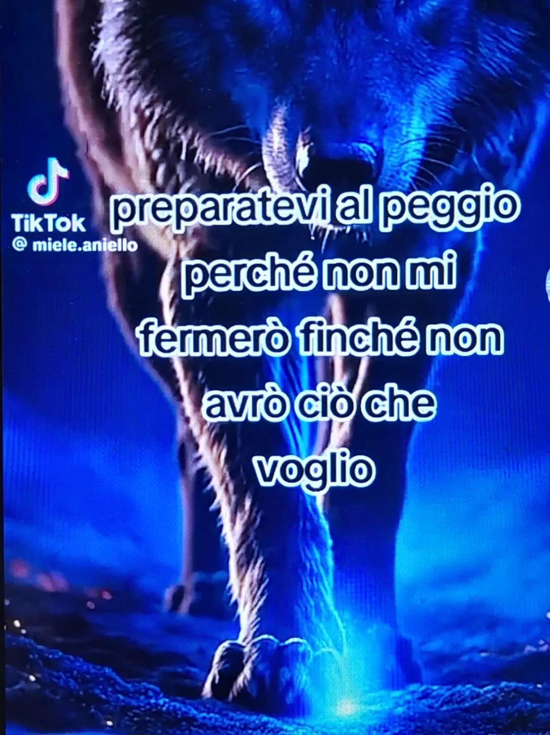 @🔥 la volpe rossa 🔥