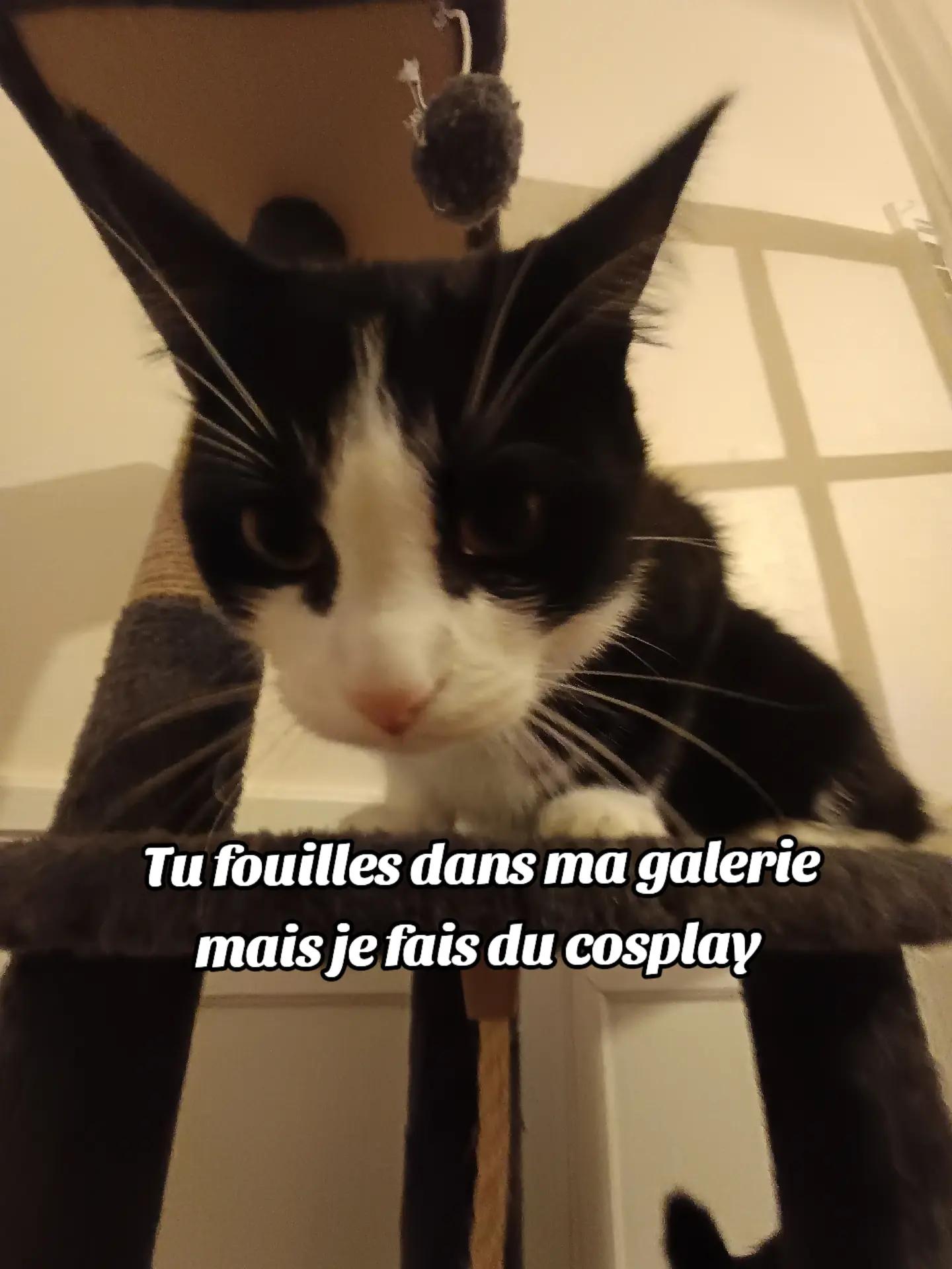 @jigglycos