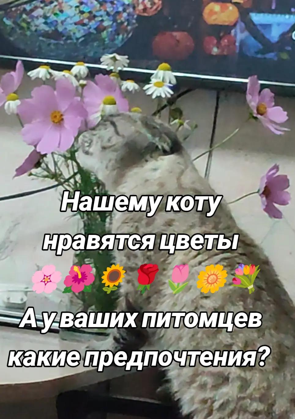 @Наталья Ворожцова