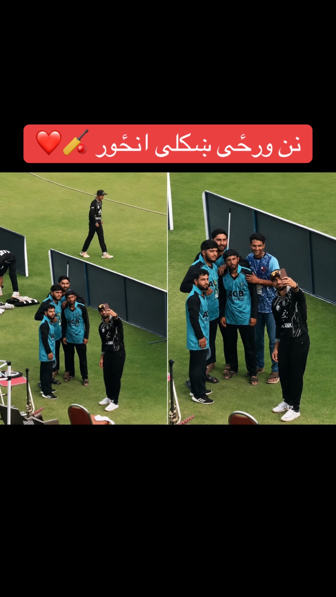 @LQ_Edit ✔