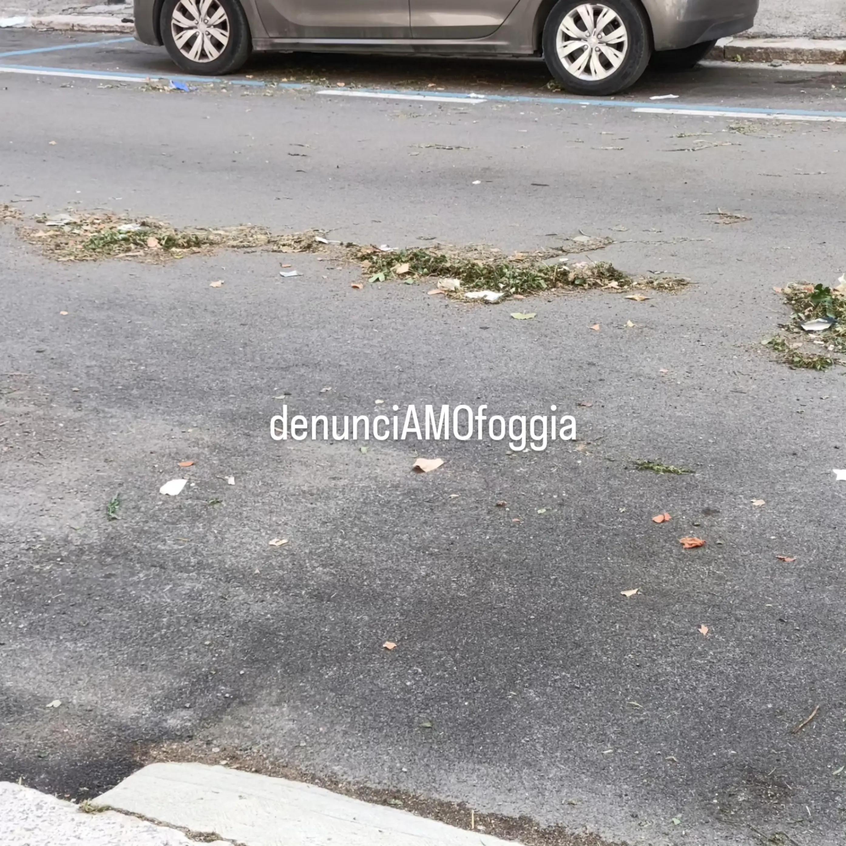 @denunciAMOfoggia