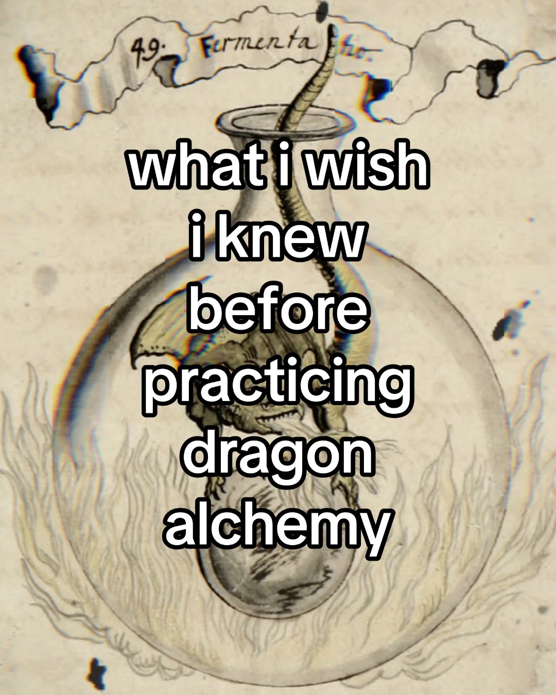@The Draconic Priestess 🐉